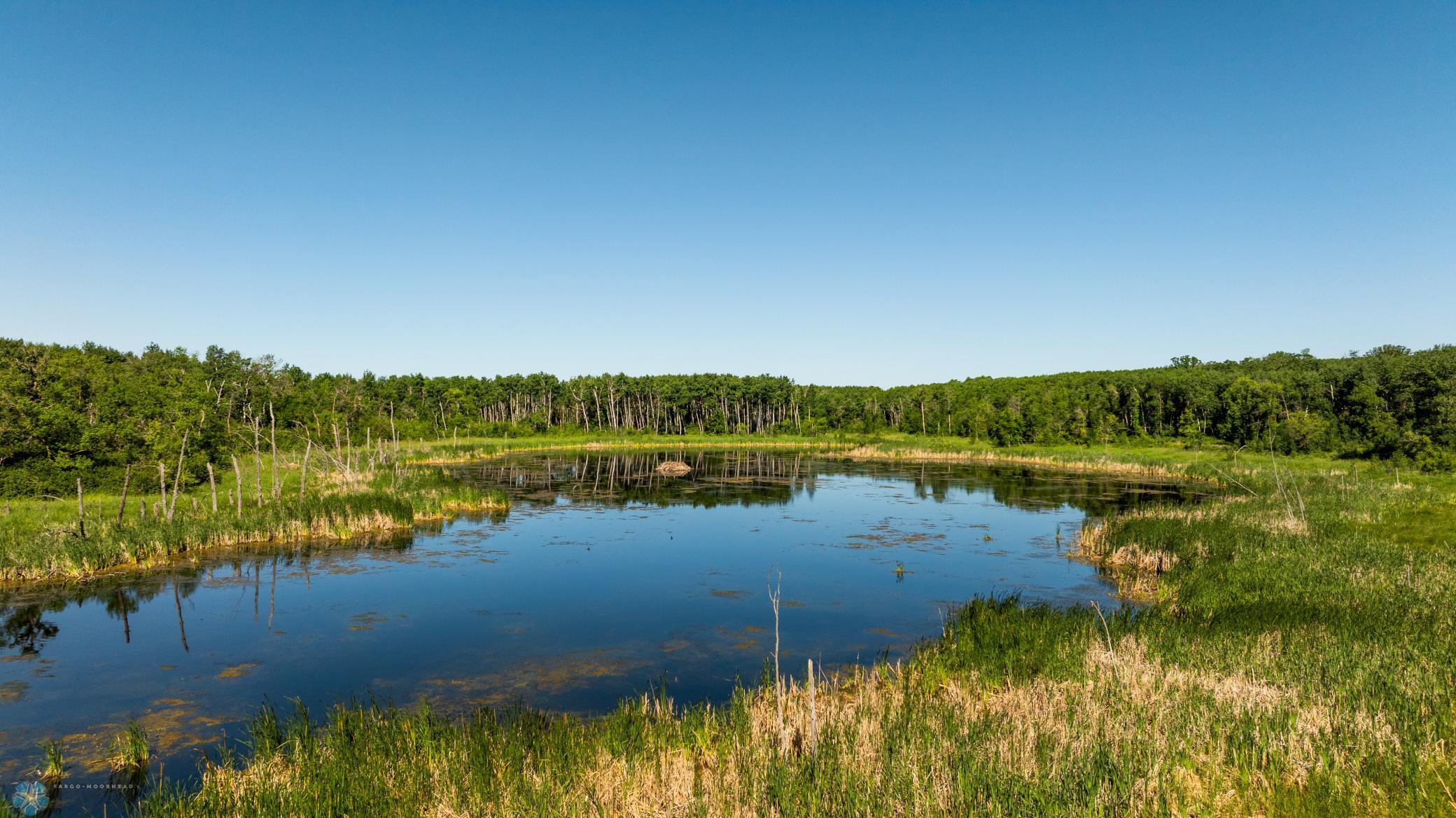 Tbd Lake Road Bottineau, ND 58318 - Photo 46 of 74