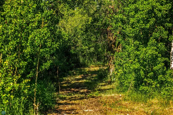 $274,295 | Tbd Lake Road, Bottineau, ND 58318