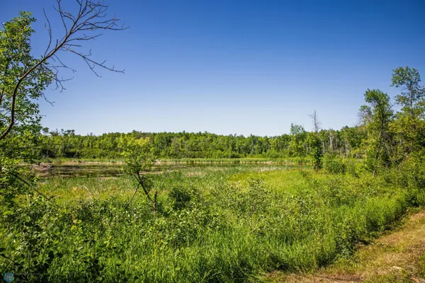 $274,295 | Tbd Lake Road, Bottineau, ND 58318