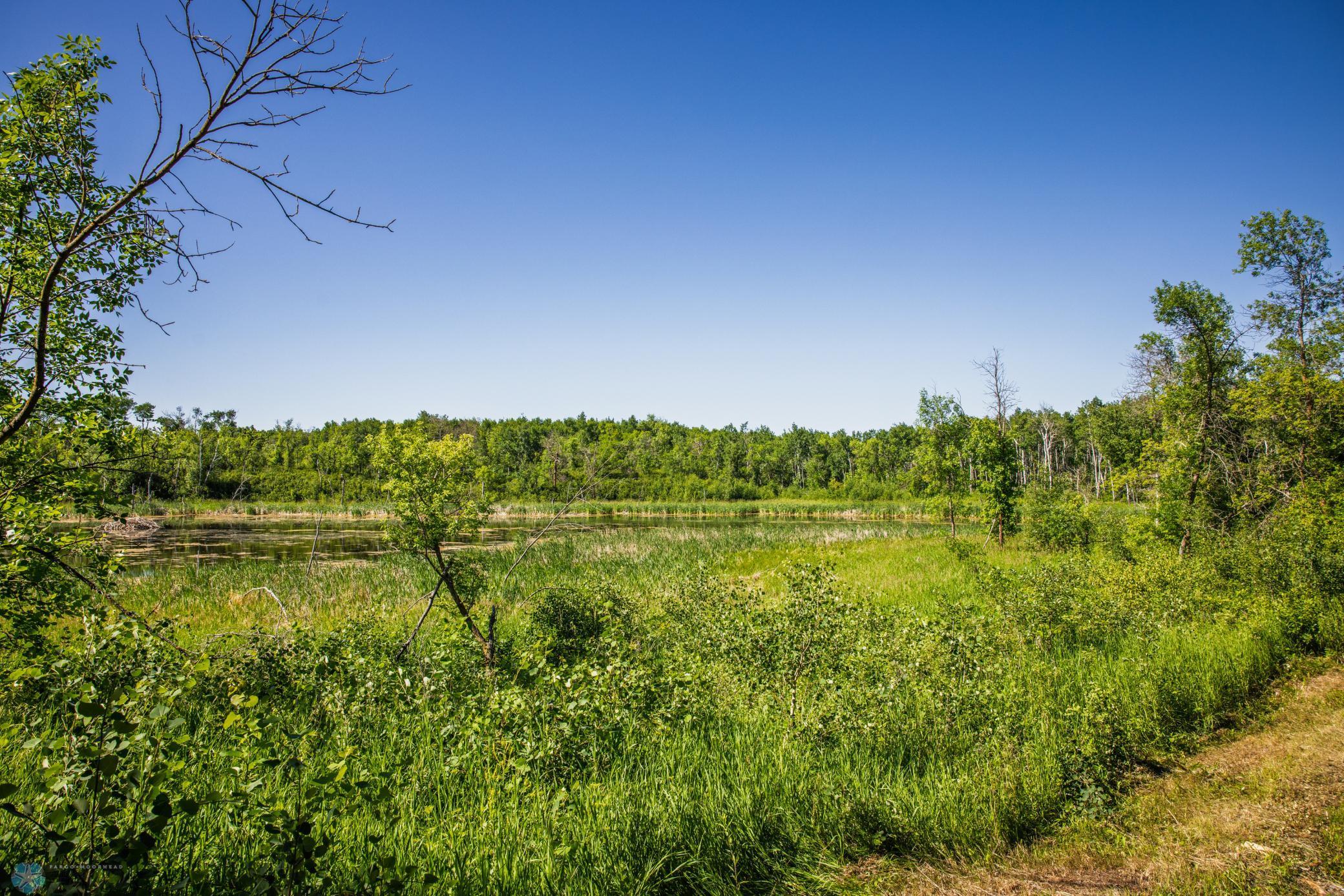 Tbd Lake Road Bottineau, ND 58318 - Photo 53 of 74