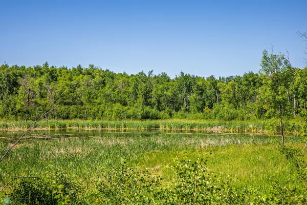 $274,295 | Tbd Lake Road, Bottineau, ND 58318