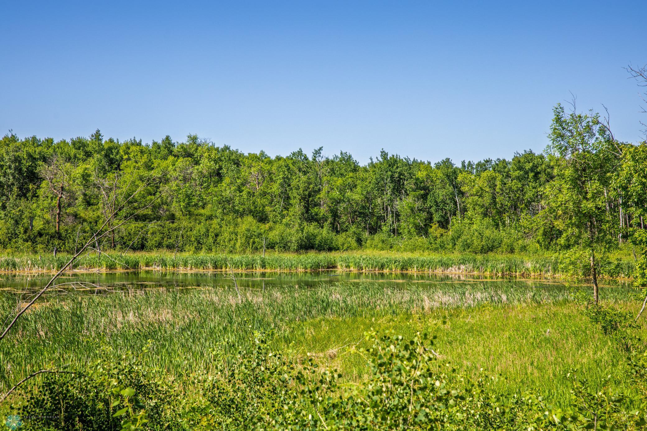 Tbd Lake Road Bottineau, ND 58318 - Photo 54 of 74
