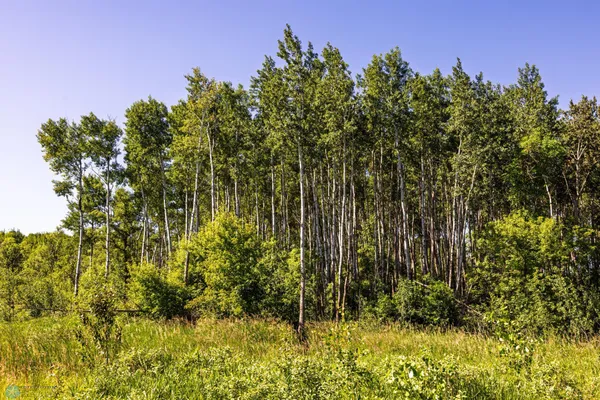 $274,295 | Tbd Lake Road, Bottineau, ND 58318