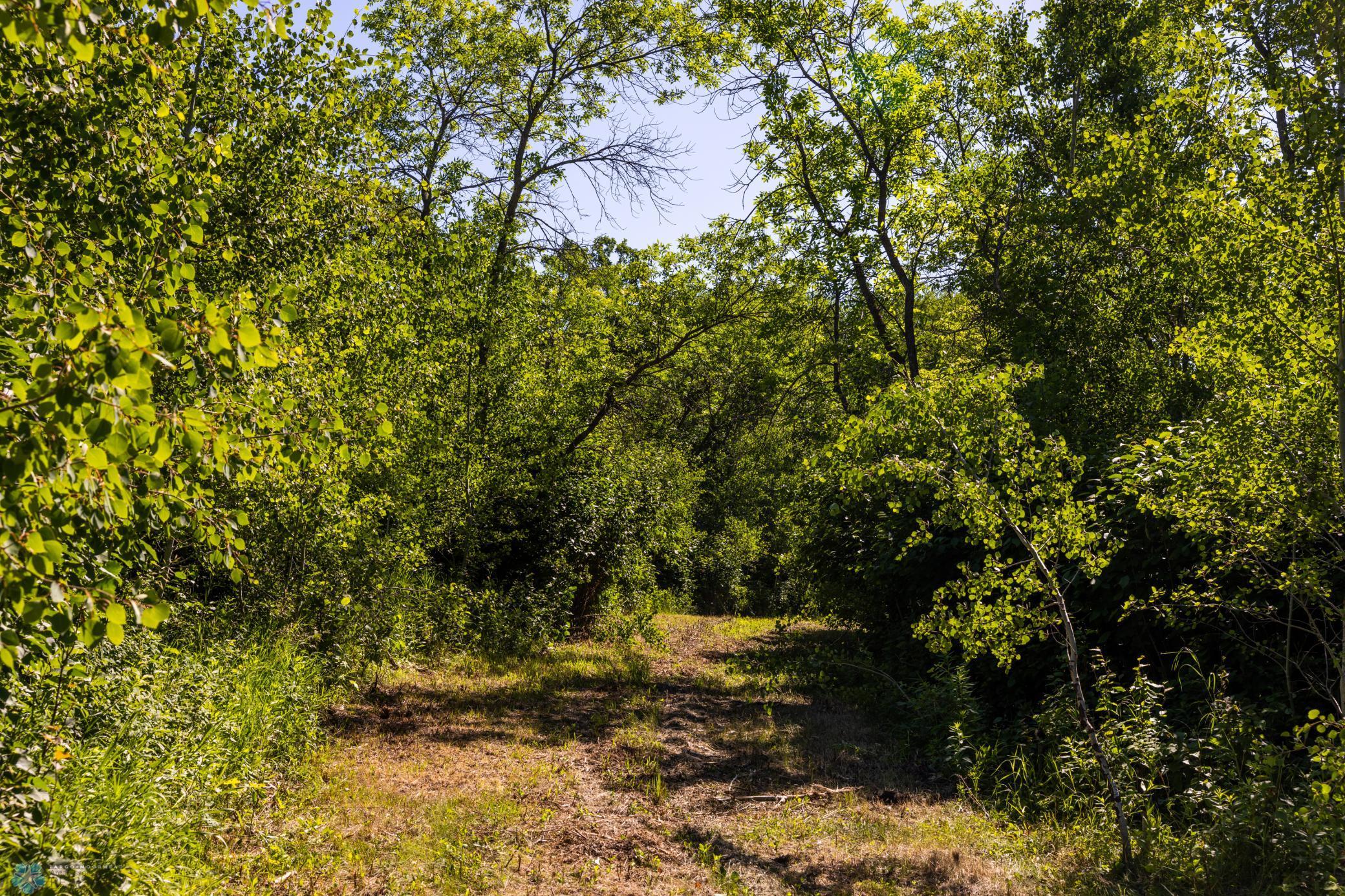 Tbd Lake Road Bottineau, ND 58318 - Photo 59 of 74