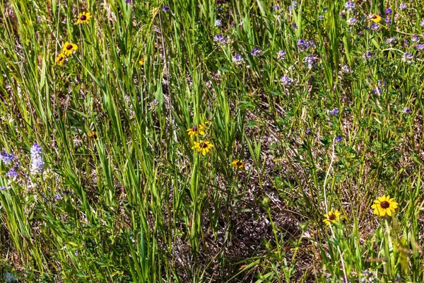 $274,295 | Tbd Lake Road, Bottineau, ND 58318