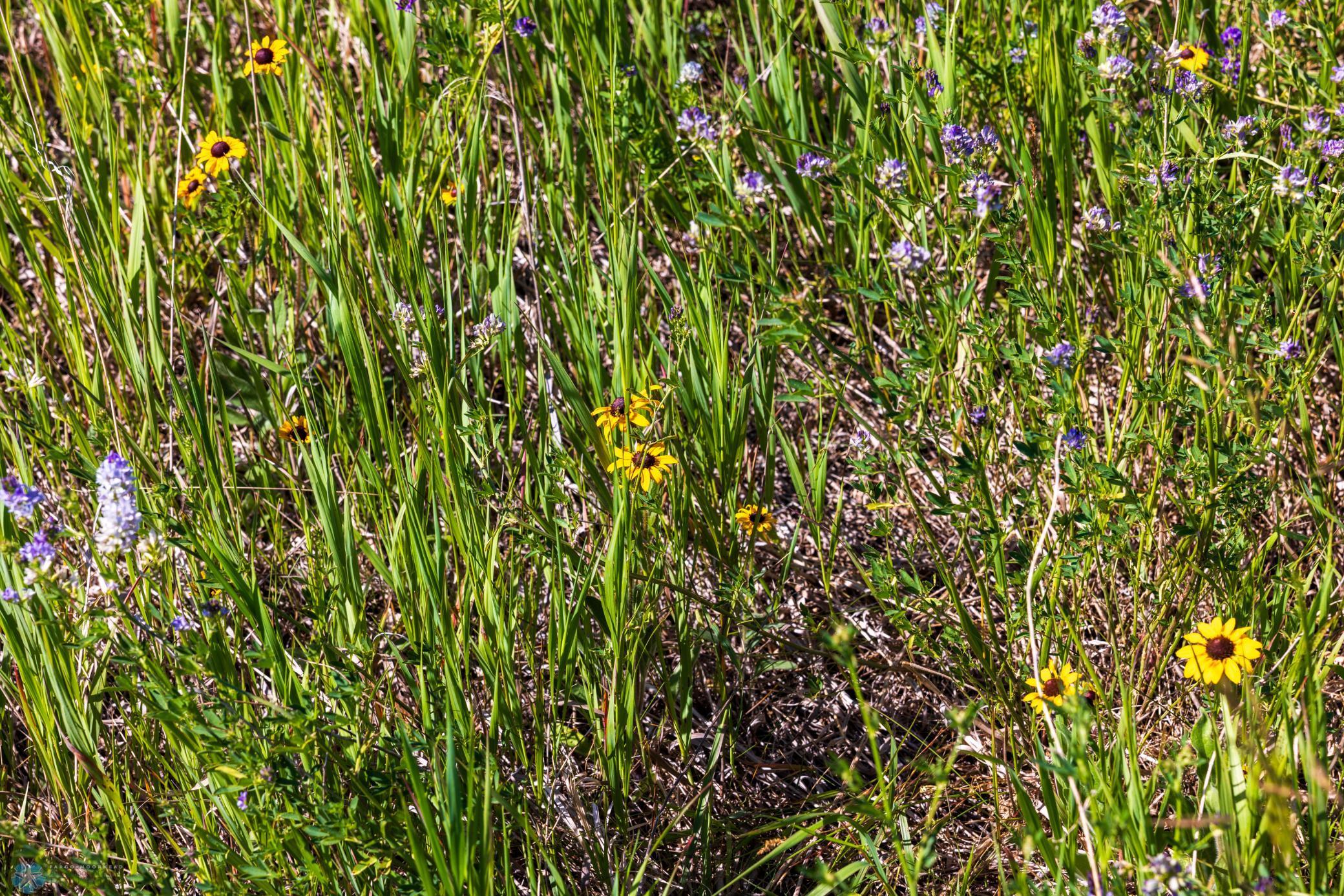 Tbd Lake Road Bottineau, ND 58318 - Photo 60 of 74