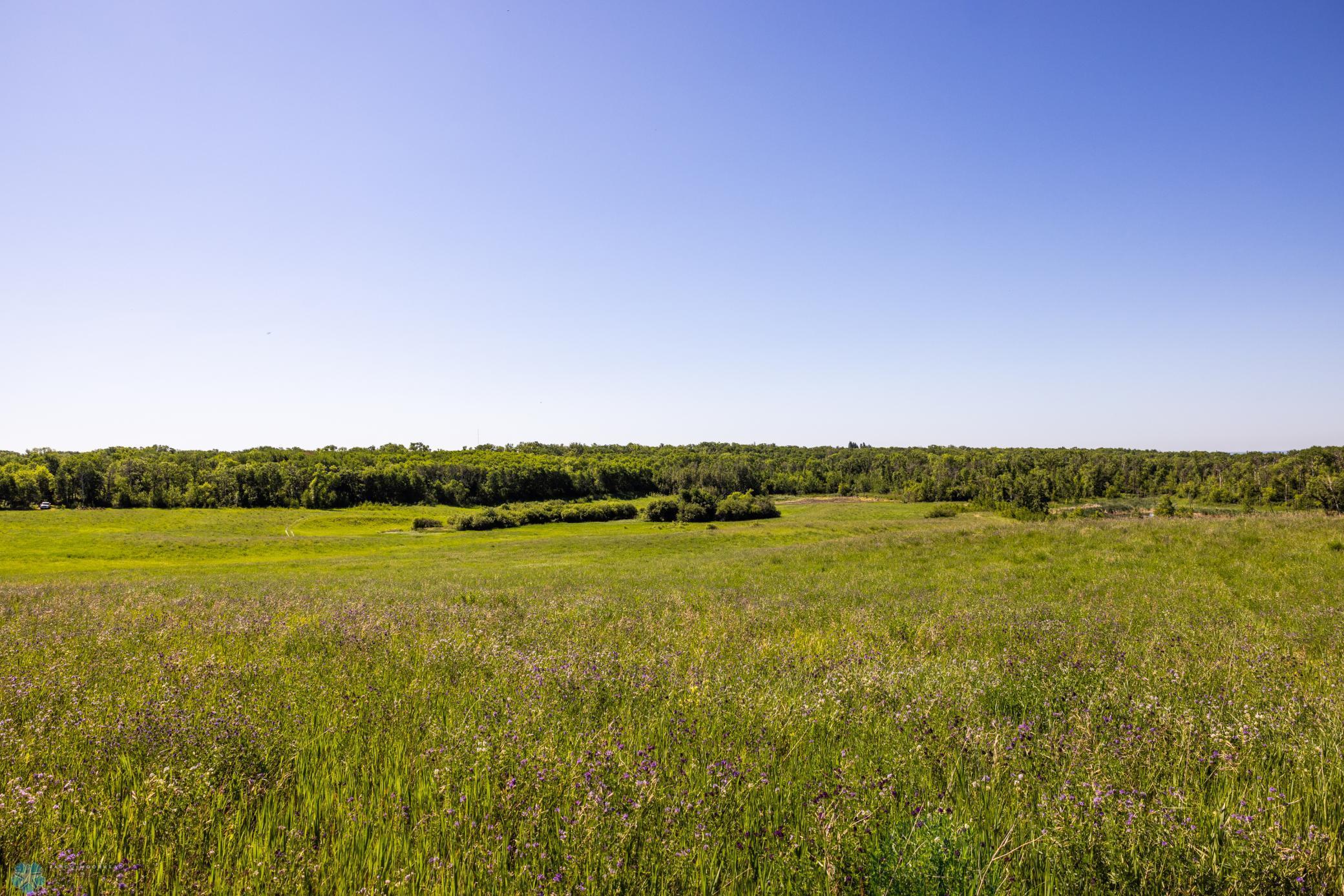 Tbd Lake Road Bottineau, ND 58318 - Photo 61 of 74