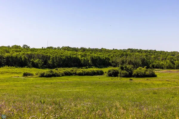 $274,295 | Tbd Lake Road, Bottineau, ND 58318