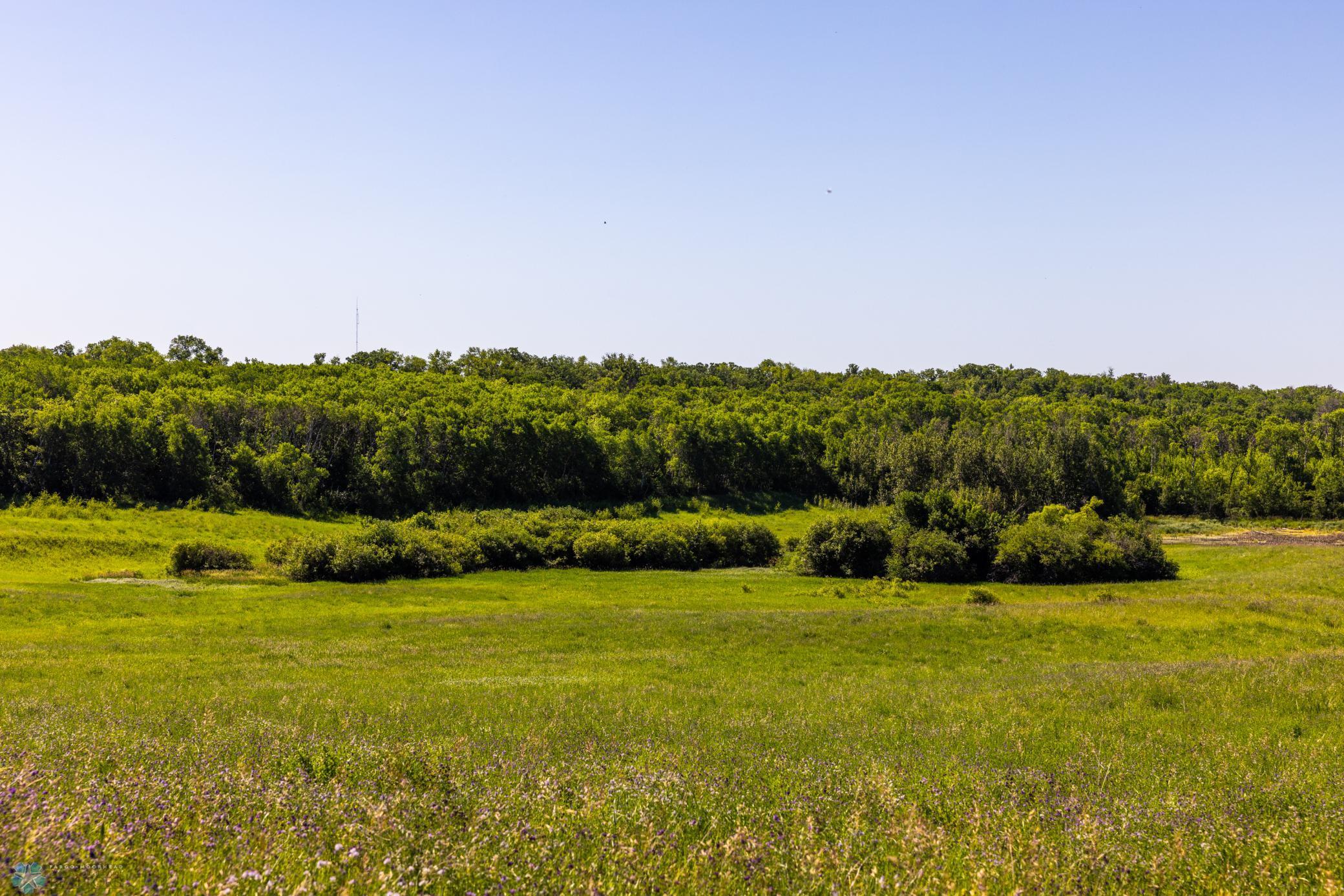 Tbd Lake Road Bottineau, ND 58318 - Photo 62 of 74