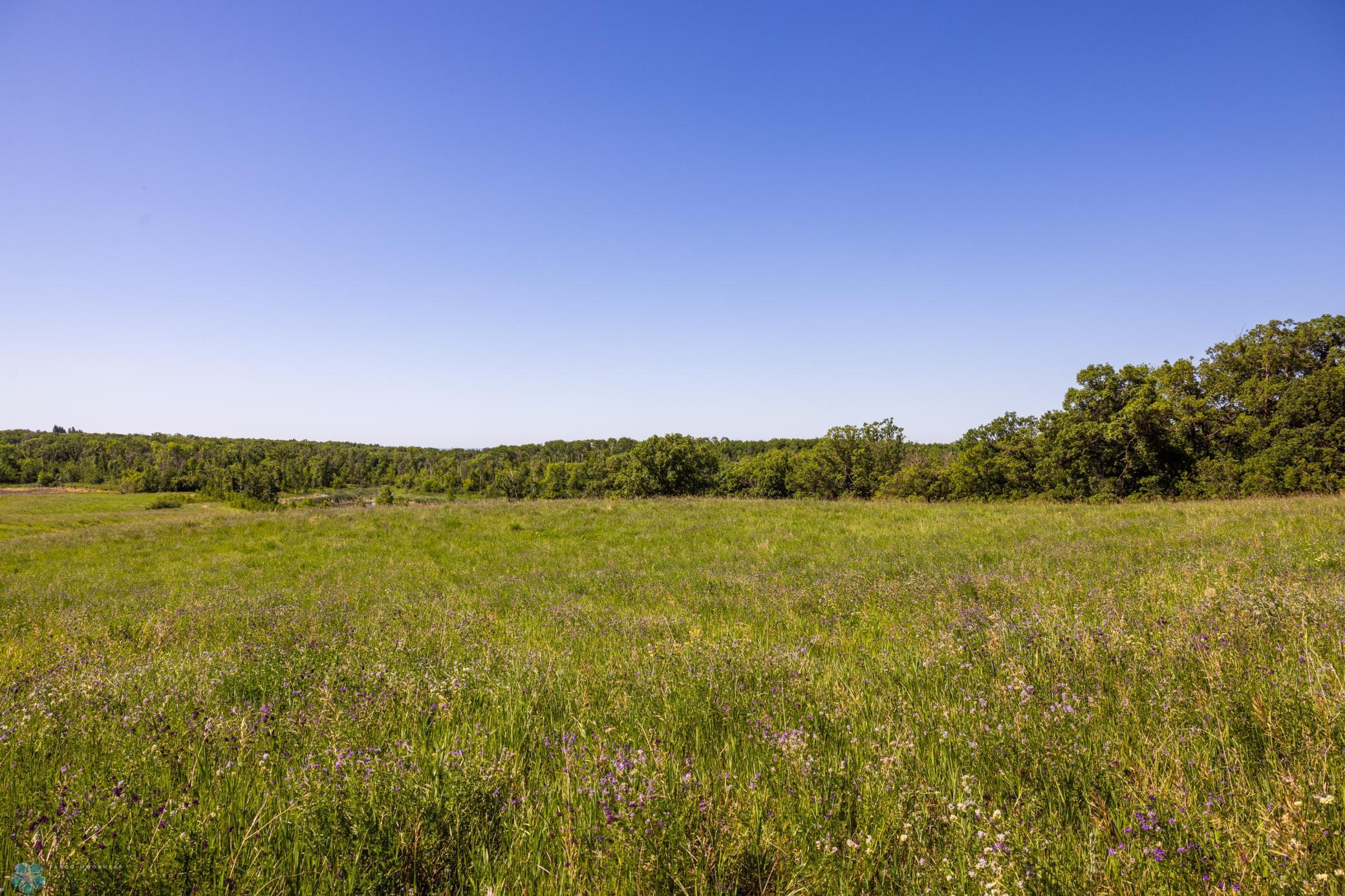 Tbd Lake Road Bottineau, ND 58318 - Photo 65 of 74