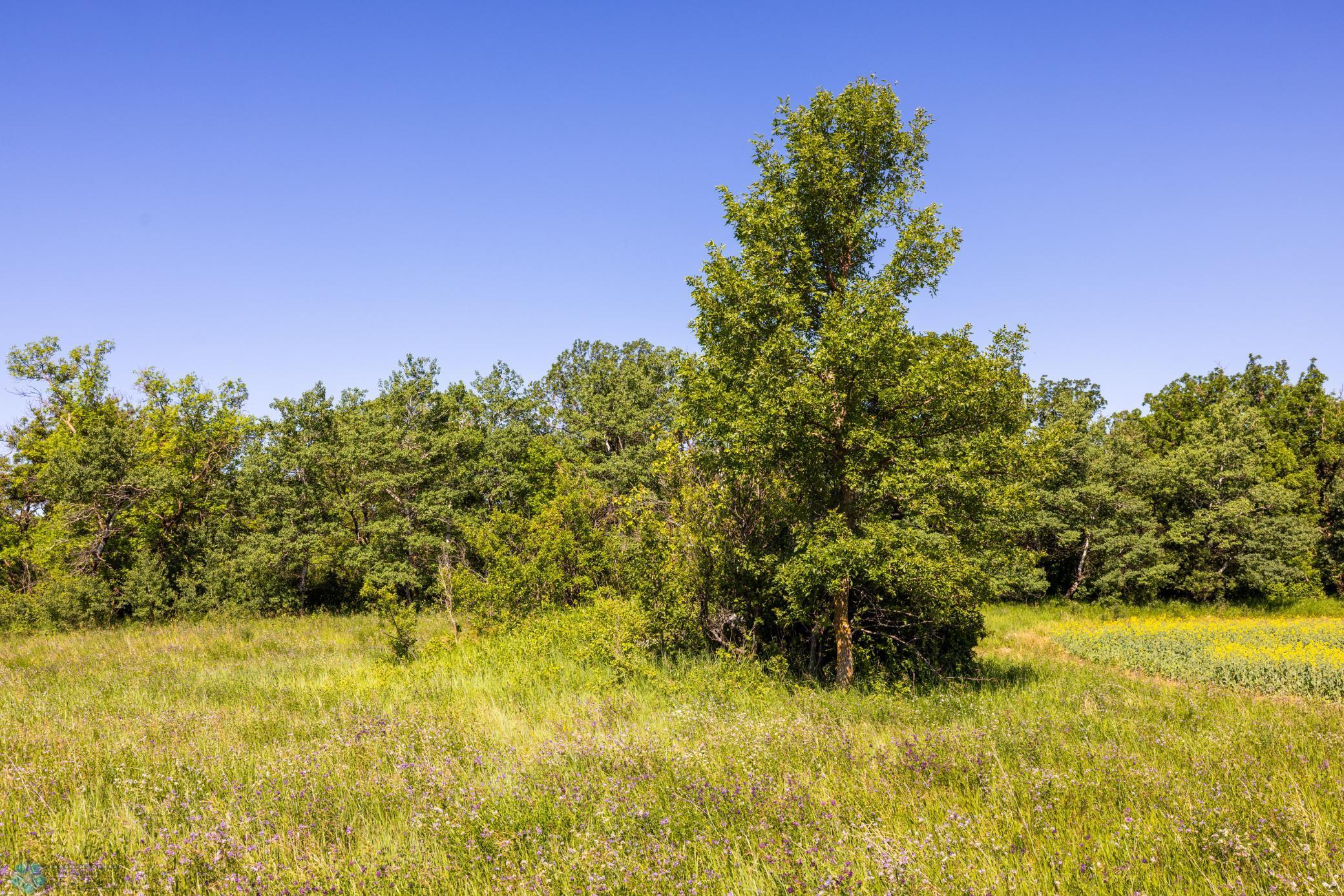 Tbd Lake Road Bottineau, ND 58318 - Photo 66 of 74