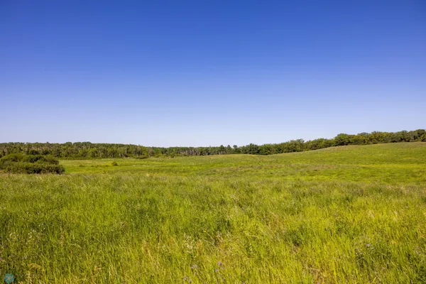 $274,295 | Tbd Lake Road, Bottineau, ND 58318