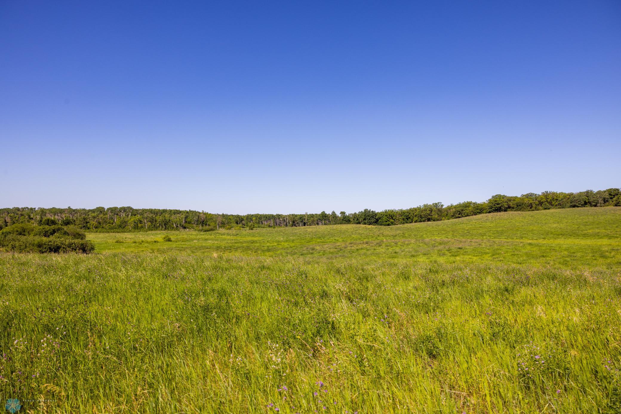 Tbd Lake Road Bottineau, ND 58318 - Photo 67 of 74
