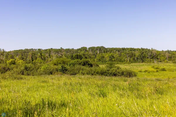 $274,295 | Tbd Lake Road, Bottineau, ND 58318