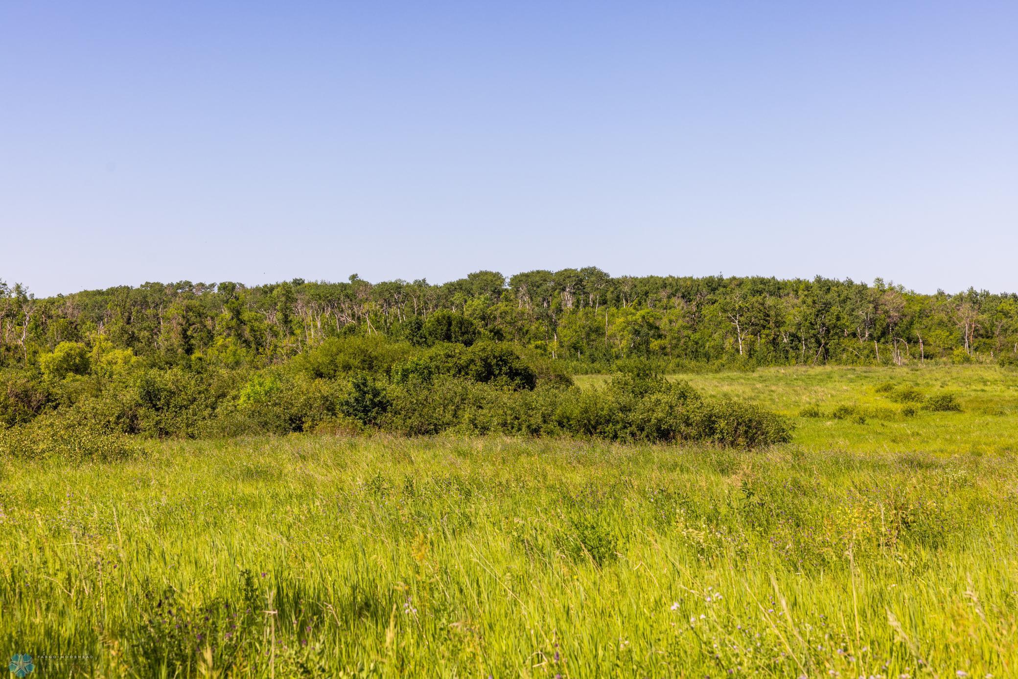 Tbd Lake Road Bottineau, ND 58318 - Photo 68 of 74