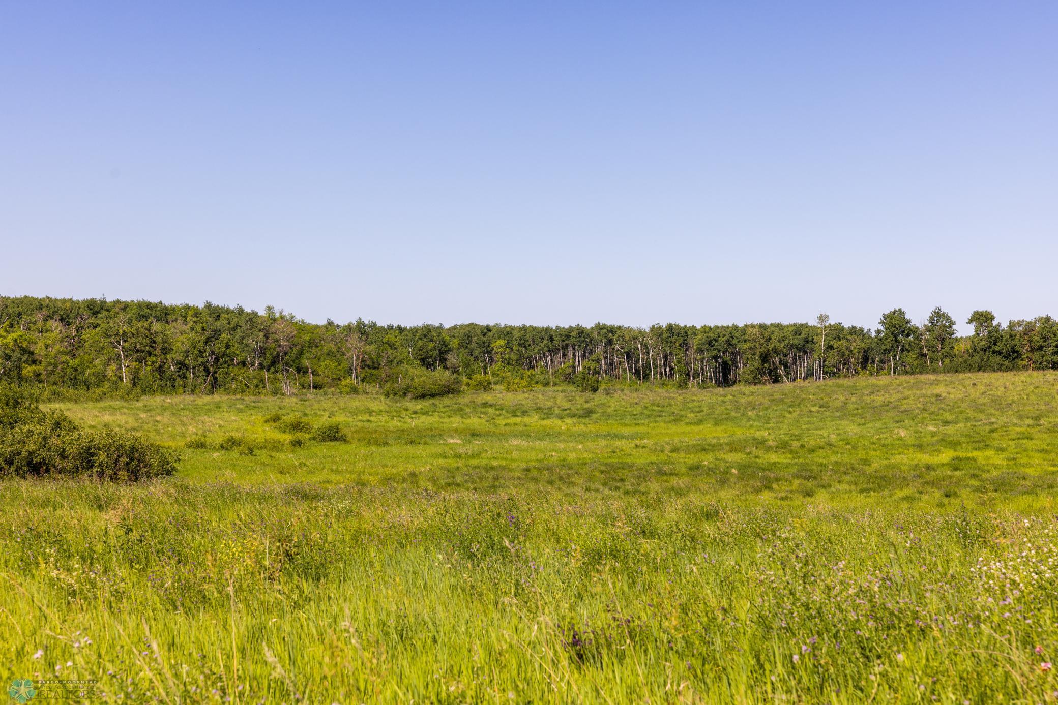 Tbd Lake Road Bottineau, ND 58318 - Photo 69 of 74