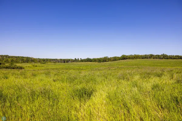 $274,295 | Tbd Lake Road, Bottineau, ND 58318