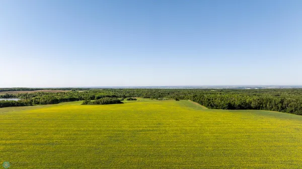 $274,295 | Tbd Lake Road, Bottineau, ND 58318