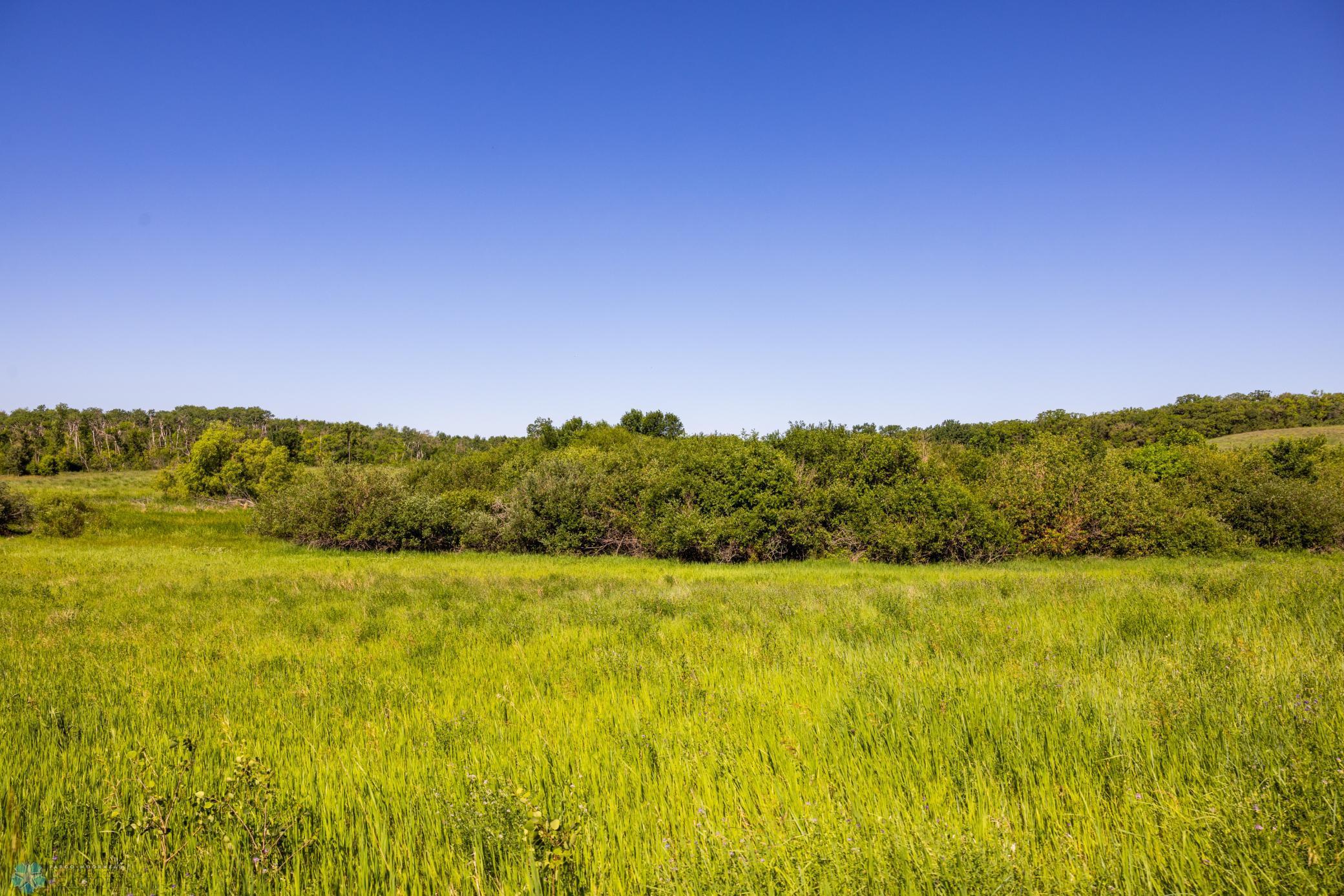 Tbd Lake Road Bottineau, ND 58318 - Photo 71 of 74