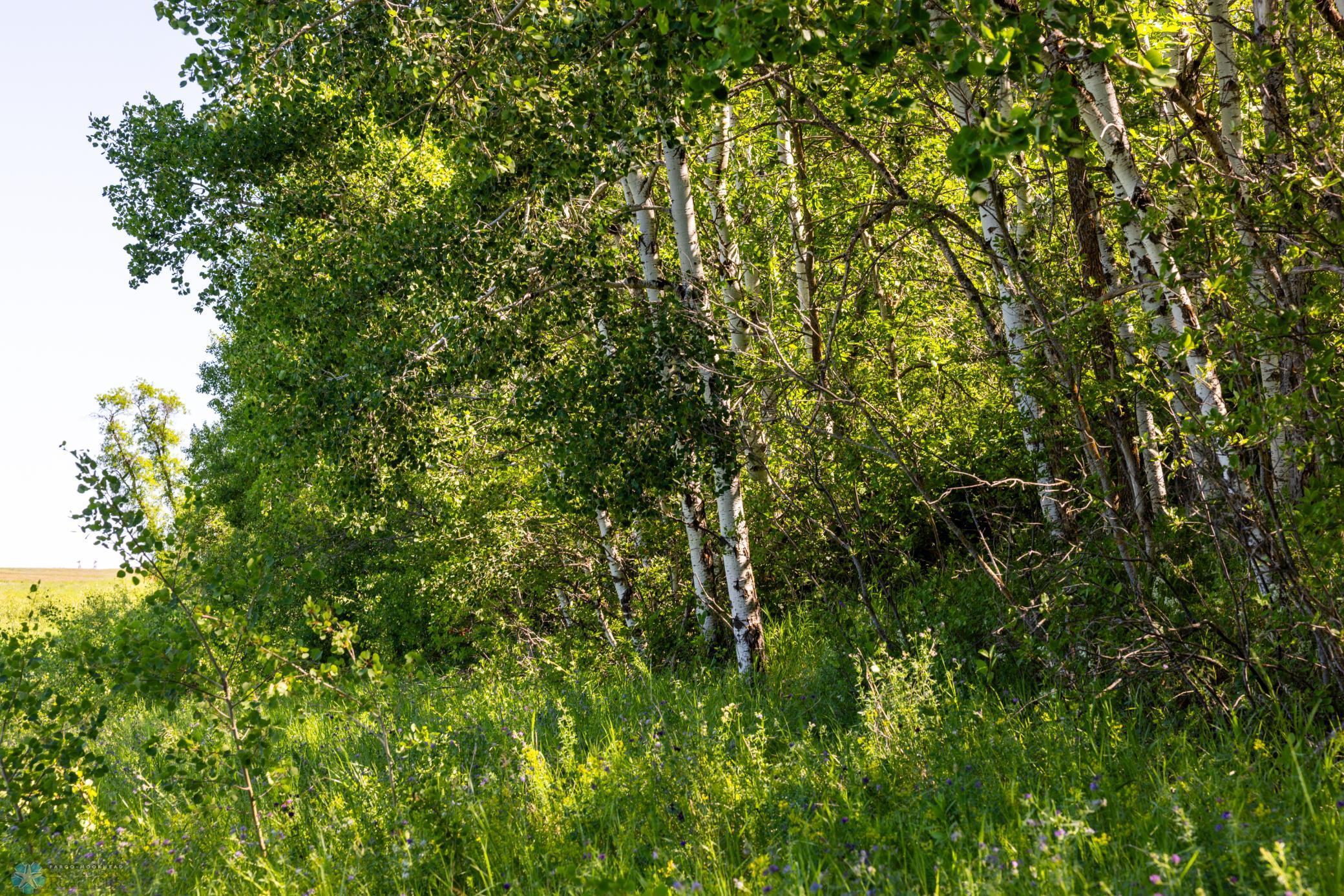 Tbd Lake Road Bottineau, ND 58318 - Photo 73 of 74
