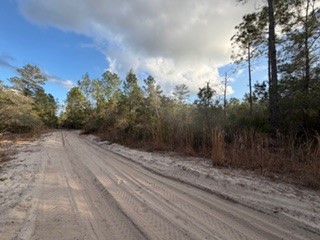 880 Still Road Pierson, FL 32180 - Photo 5 of 7