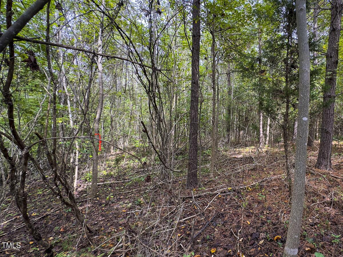 Lot-6-00 Wilson Road Providence, NC 27315 - Photo 32 of 36 Caswell Co. NC 3.01-Backwoods-Lot 6-32