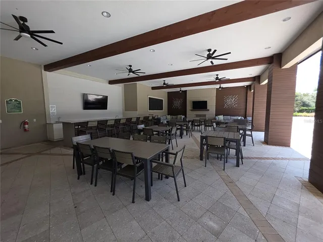 a view of a yard with palm tree