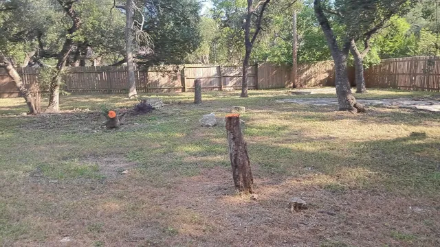a backyard of a house with lots of green space