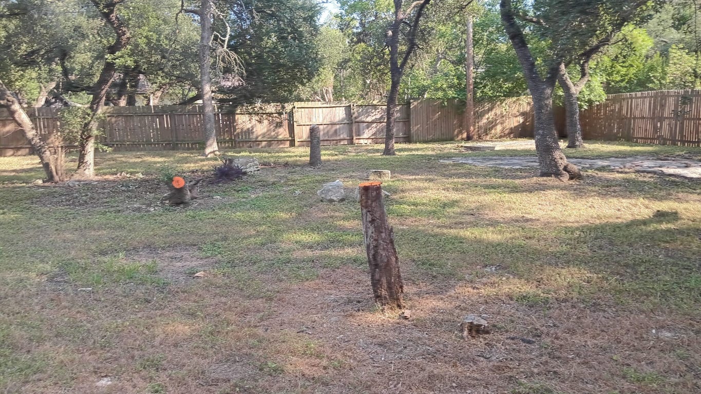9405 Newberry Drive, Unit A Austin, TX 78729 - Photo 10 of 10 a backyard of a house with lots of green space