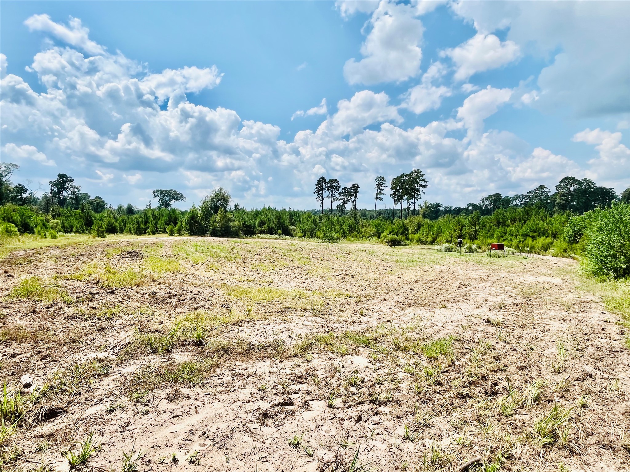 0 9 Bridge Road Corrigan, TX 75939 - Photo 2 of 22 Open view