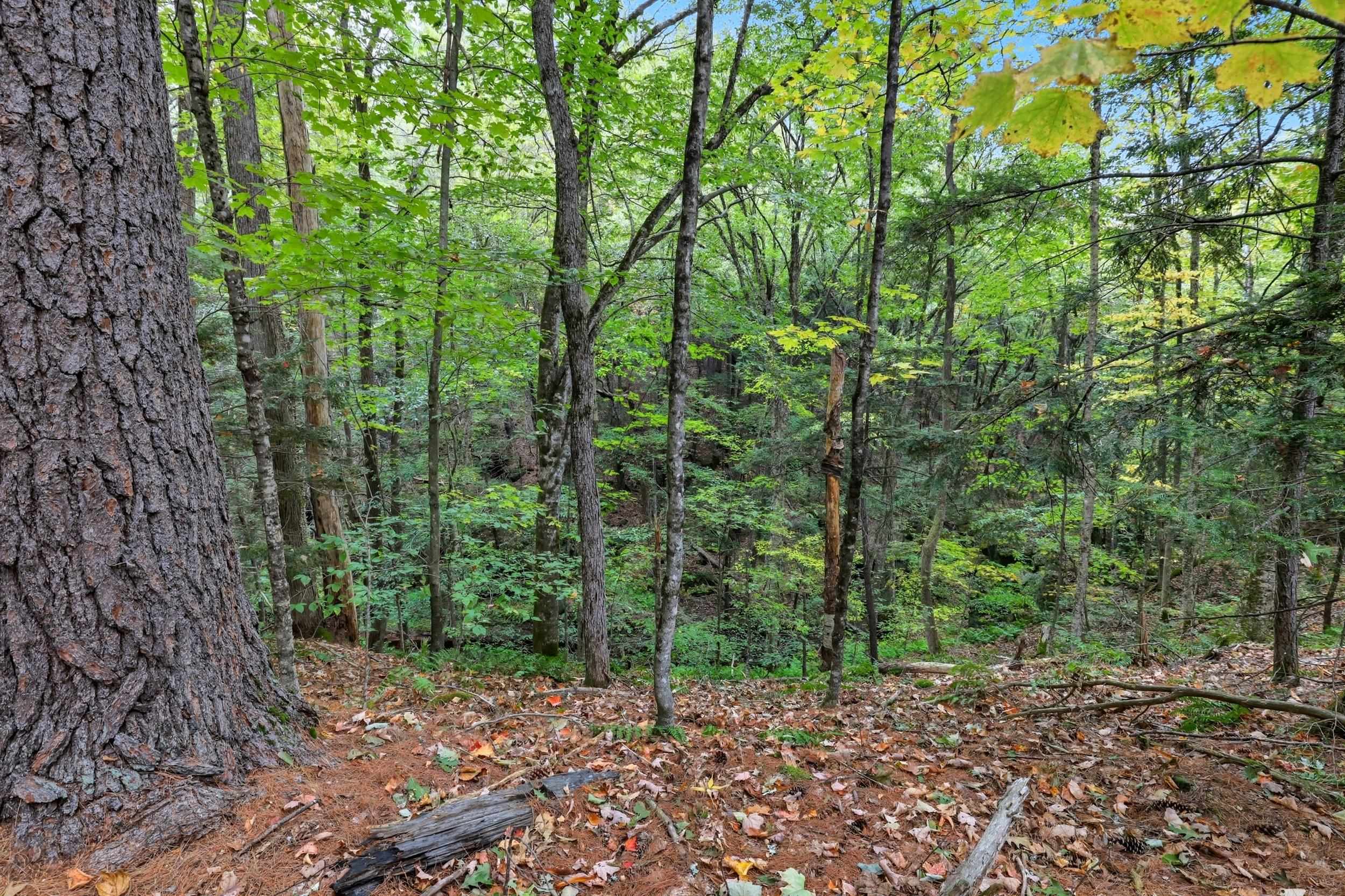 Gulf Road Sanbornton, NH 03269 - Photo 12 of 37