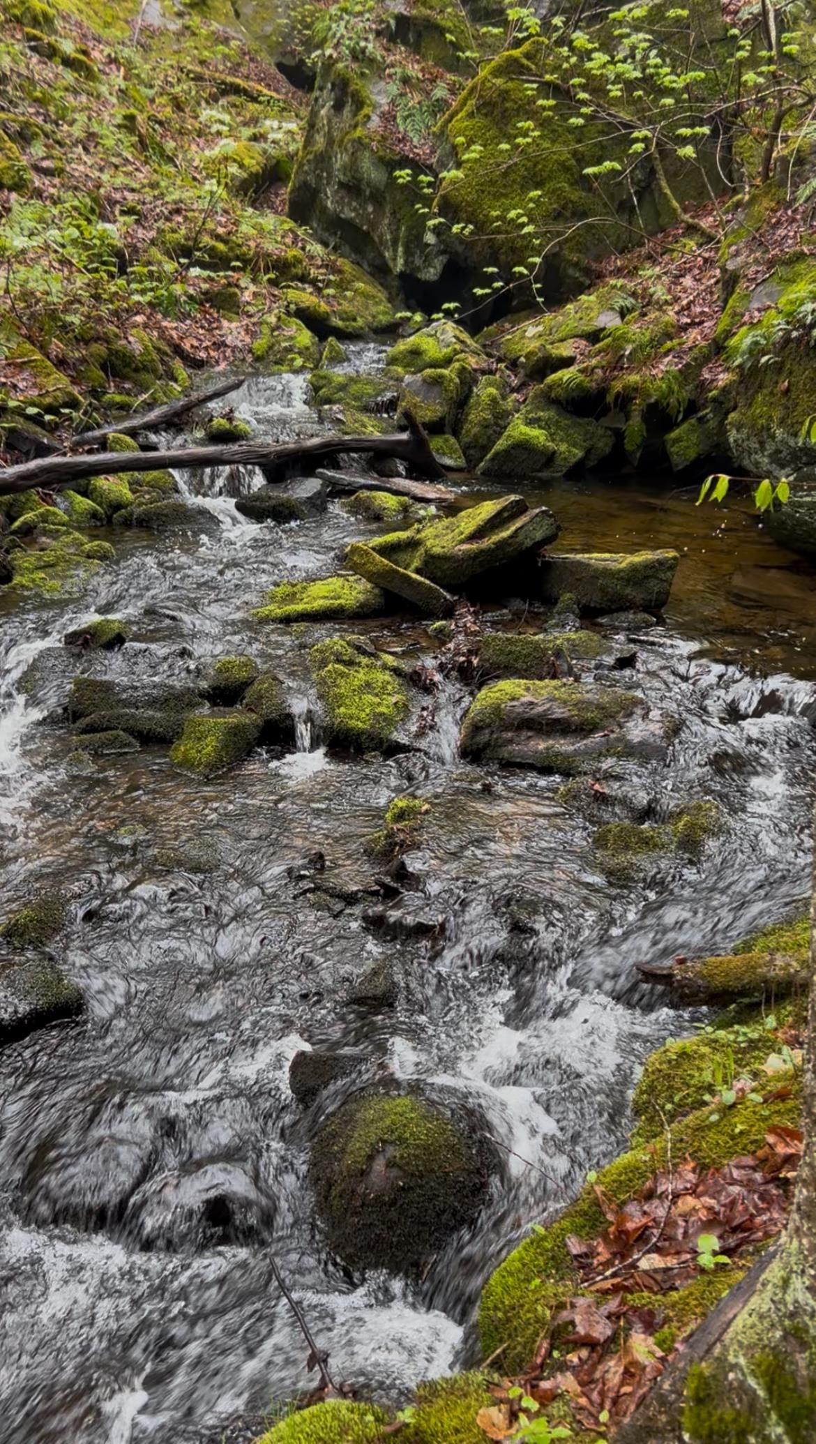 Gulf Road Sanbornton, NH 03269 - Photo 16 of 37