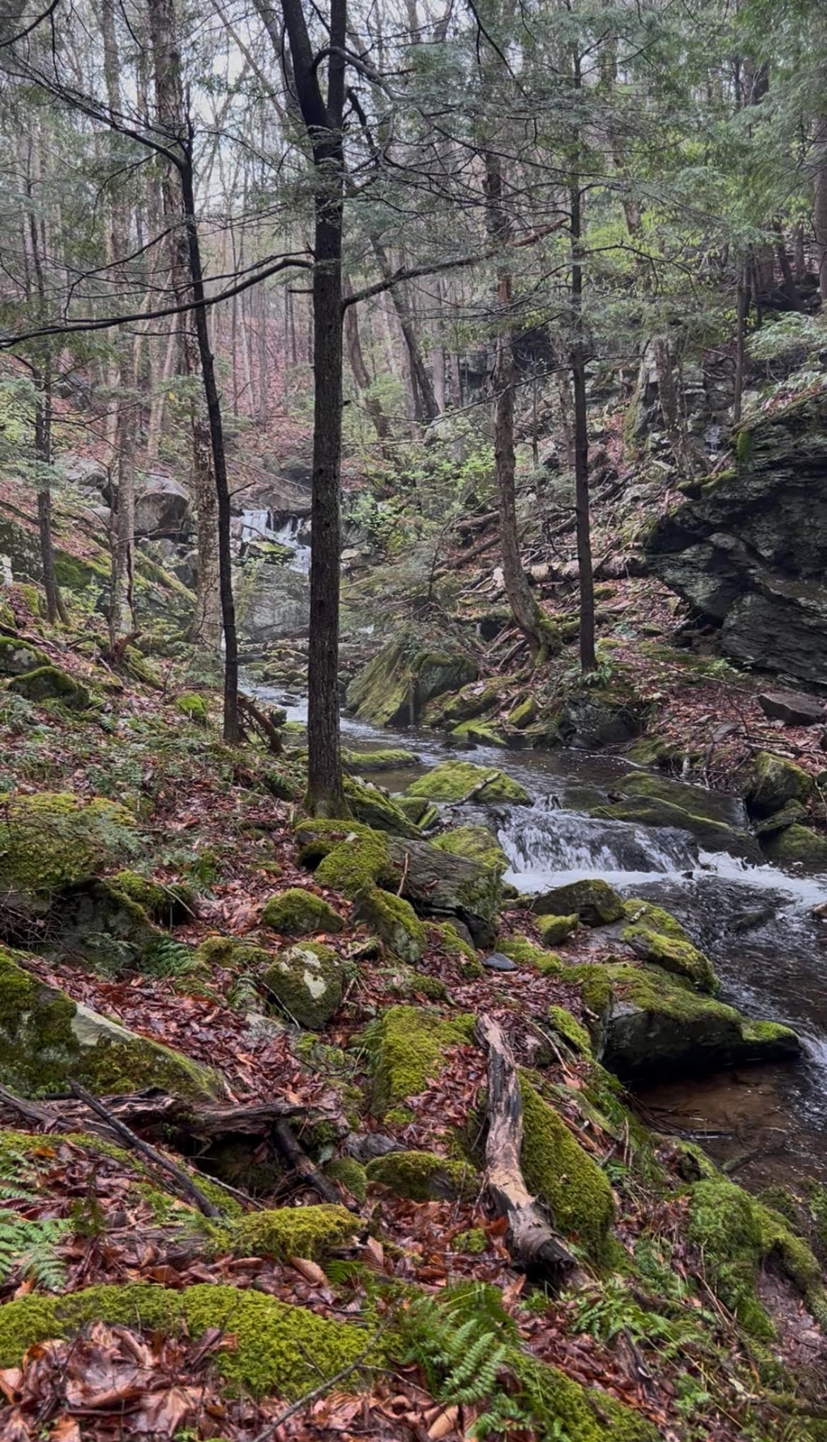 Gulf Road Sanbornton, NH 03269 - Photo 17 of 37