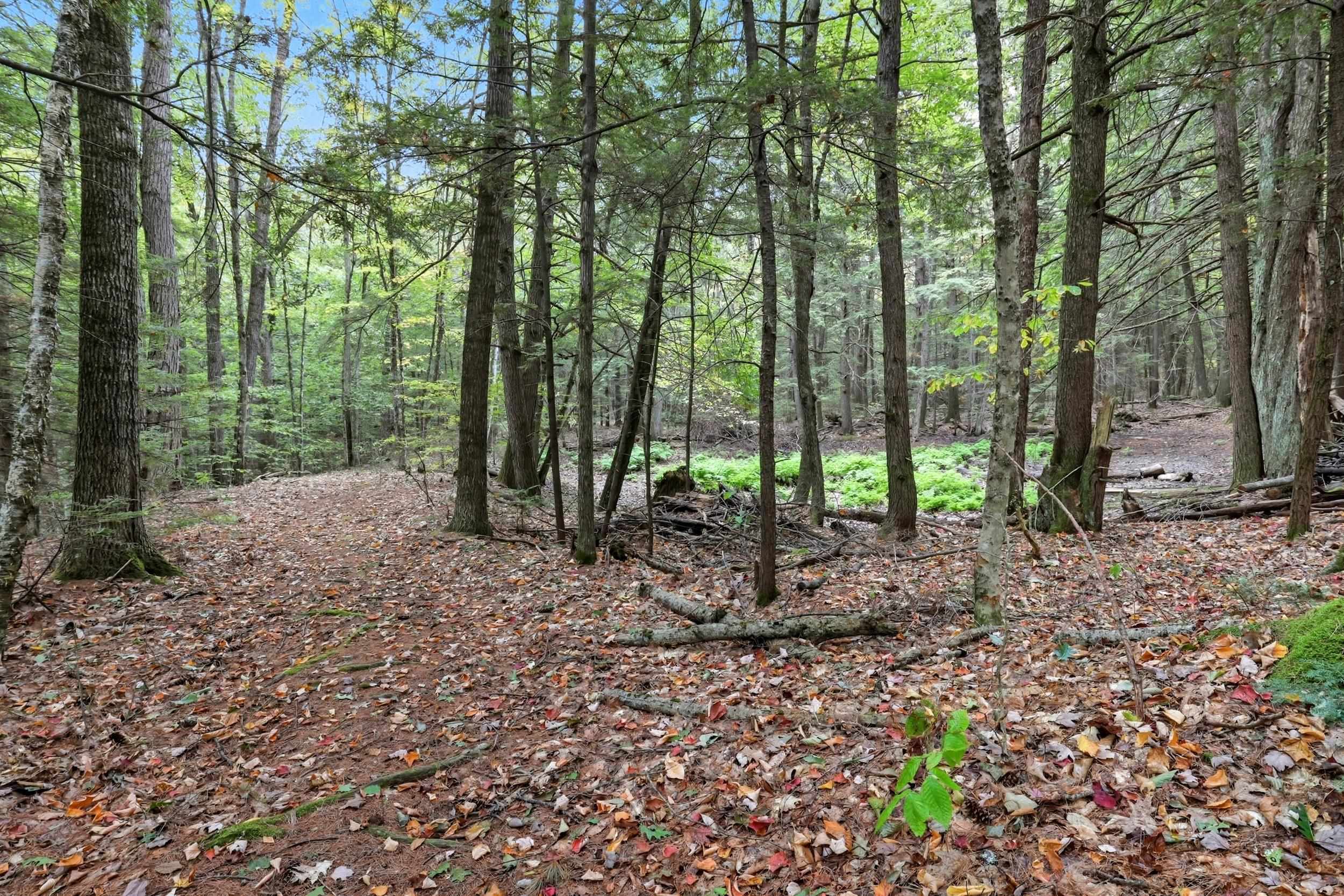 Gulf Road Sanbornton, NH 03269 - Photo 18 of 37