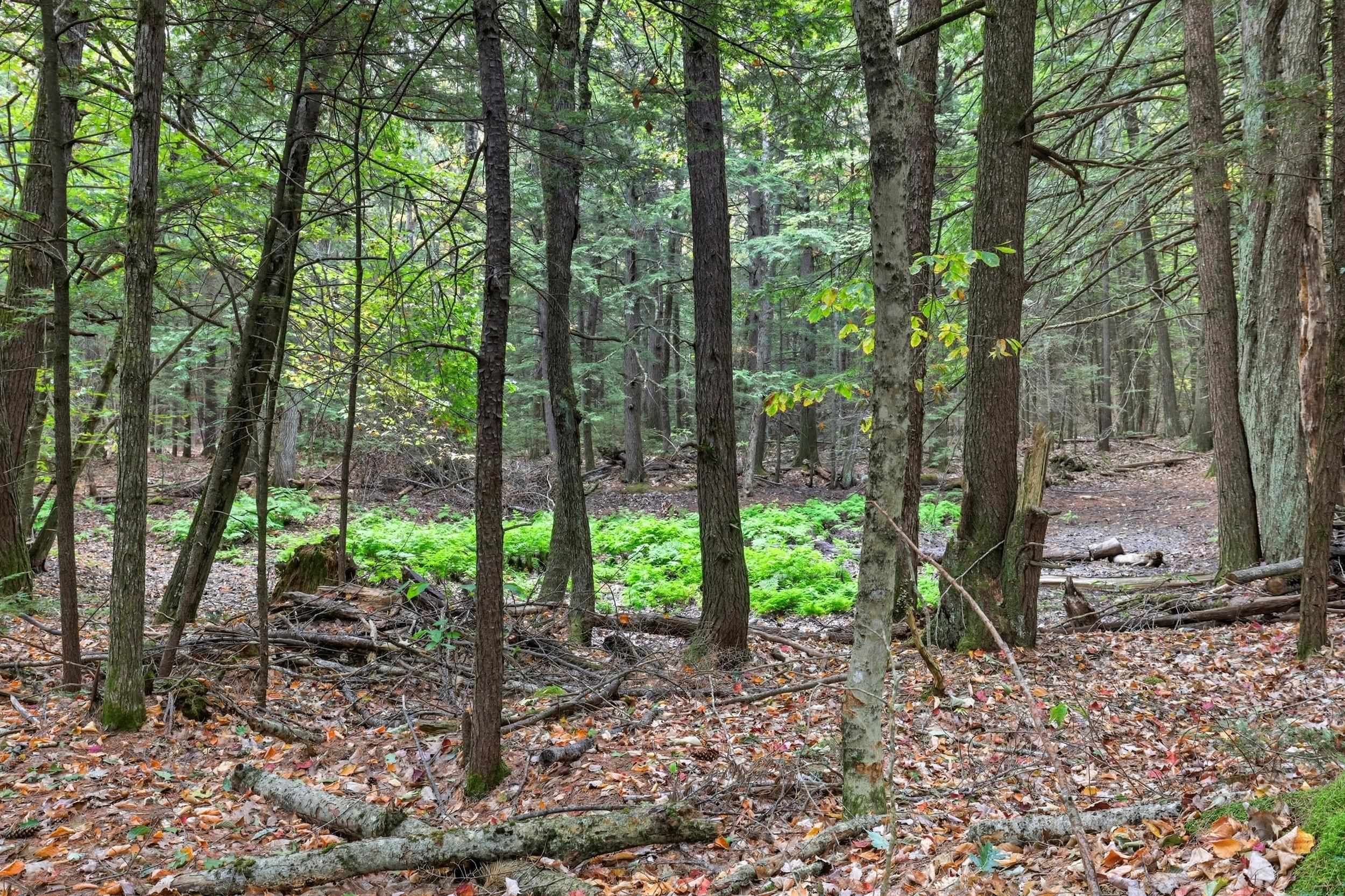 Gulf Road Sanbornton, NH 03269 - Photo 19 of 37