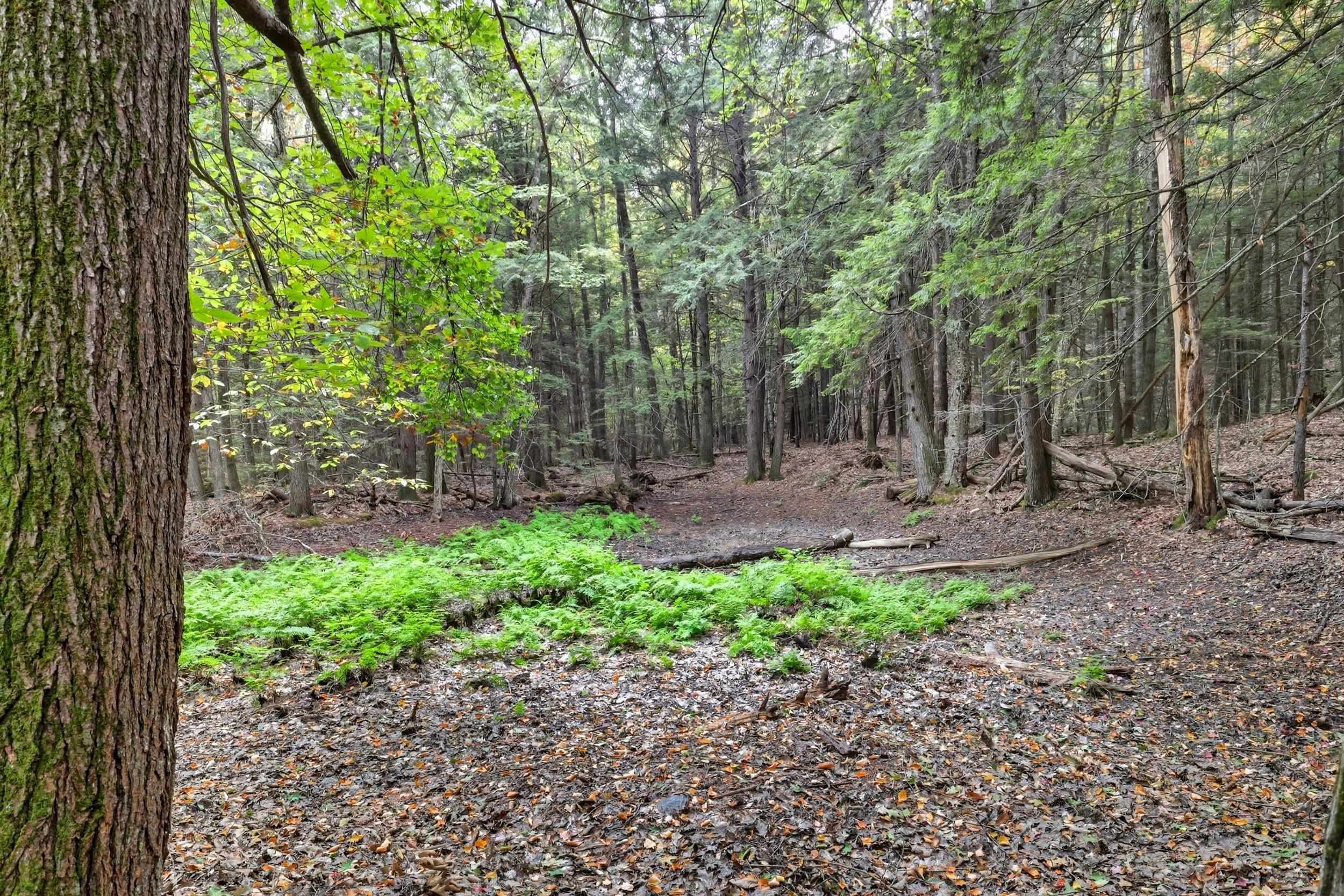 Gulf Road Sanbornton, NH 03269 - Photo 20 of 37