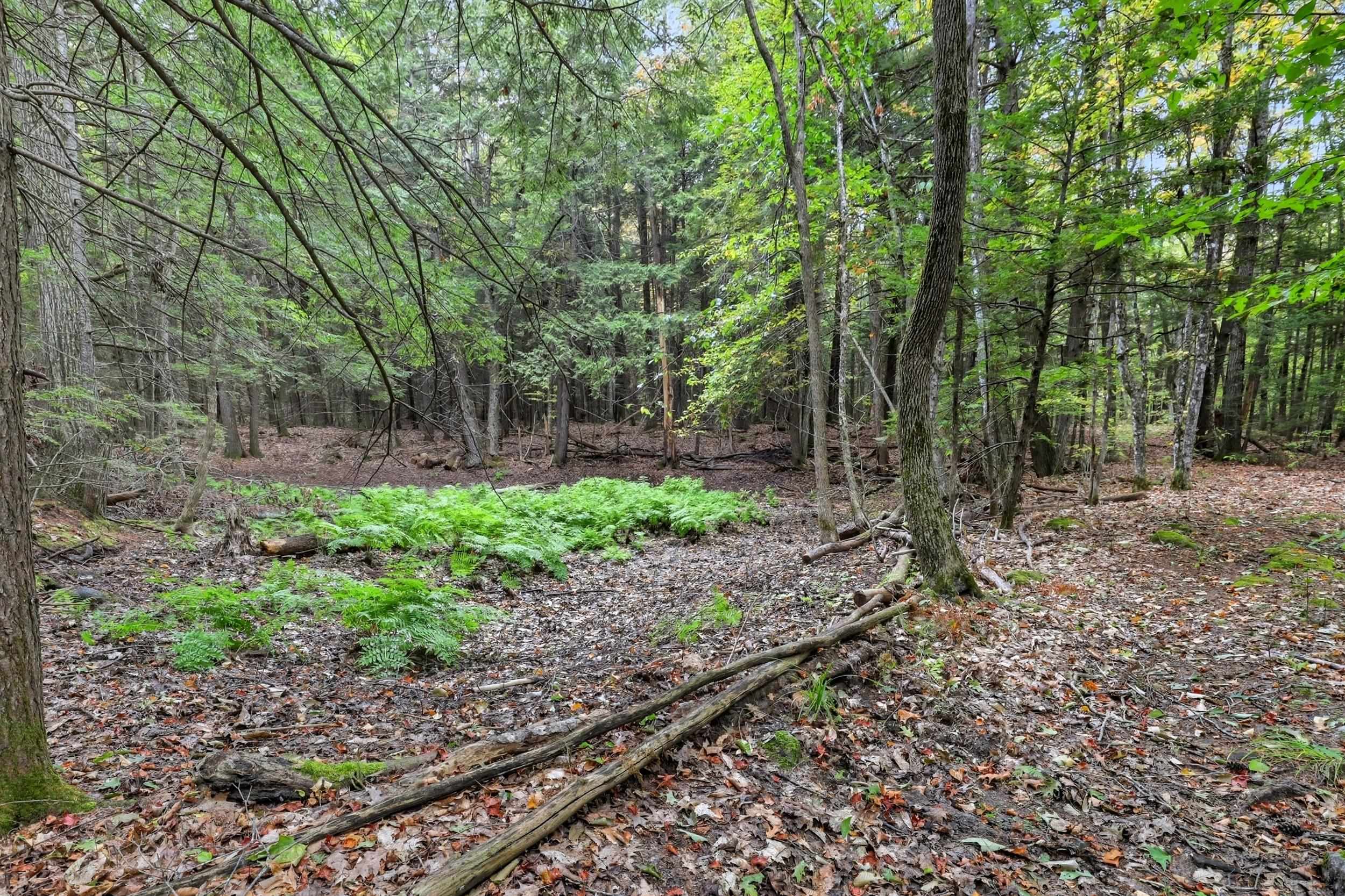 Gulf Road Sanbornton, NH 03269 - Photo 21 of 37