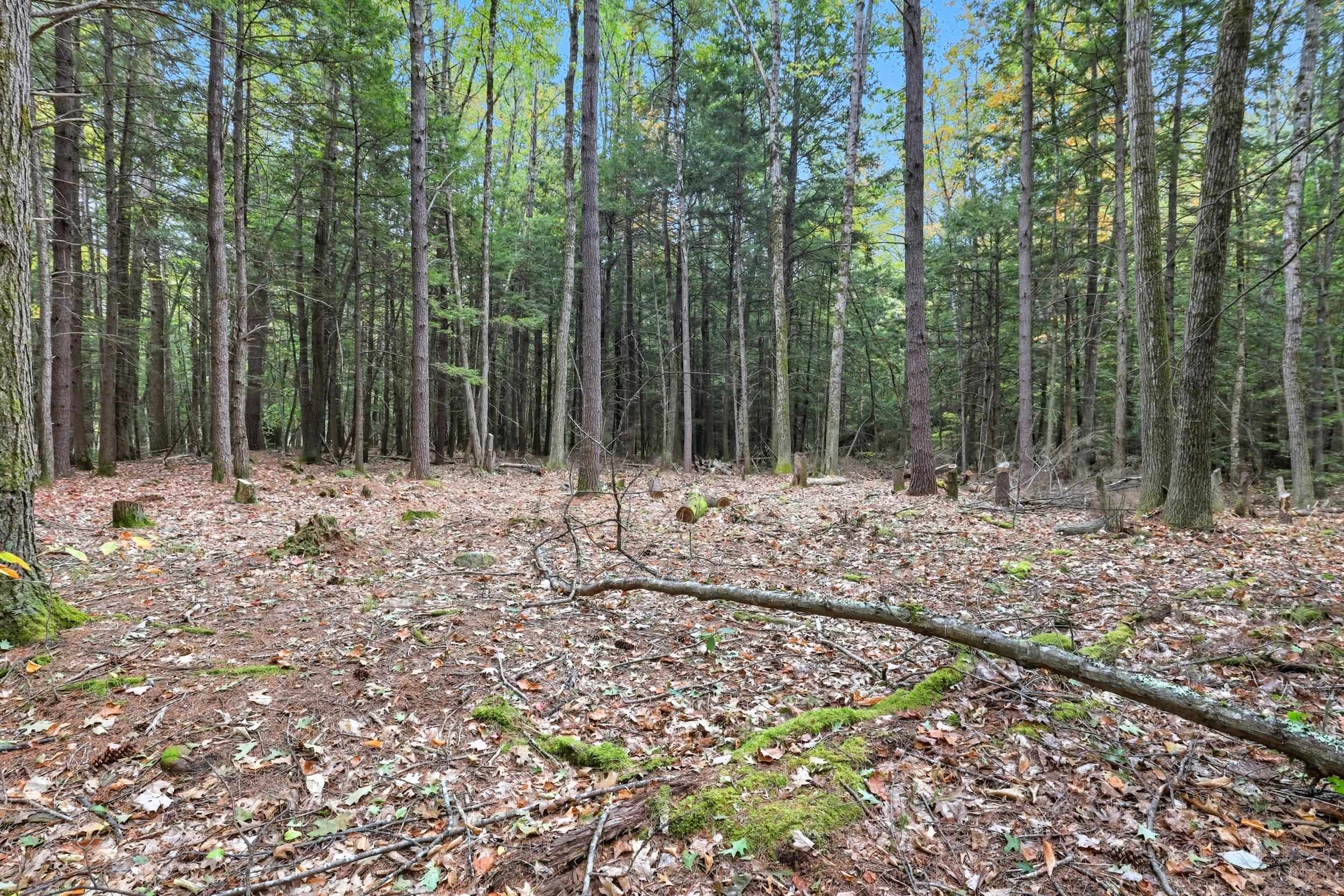 Gulf Road Sanbornton, NH 03269 - Photo 22 of 37