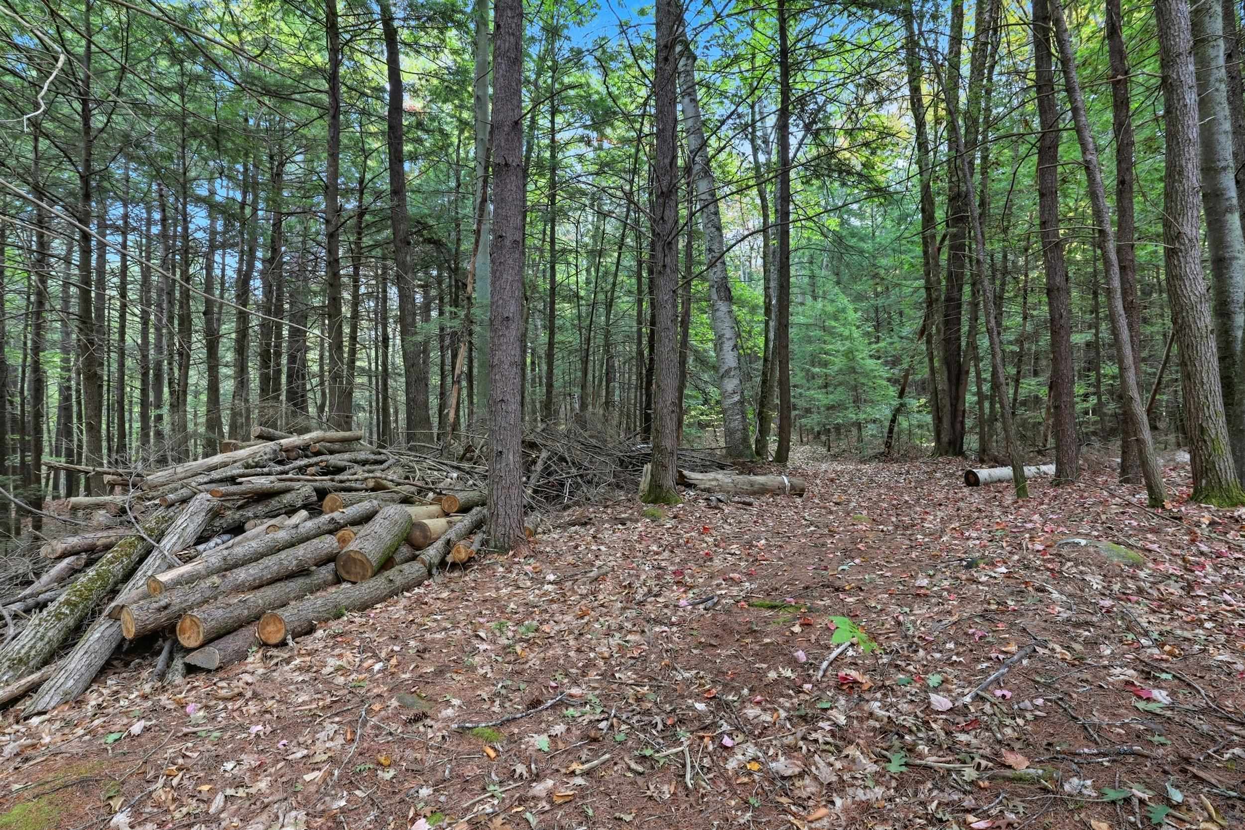 Gulf Road Sanbornton, NH 03269 - Photo 23 of 37