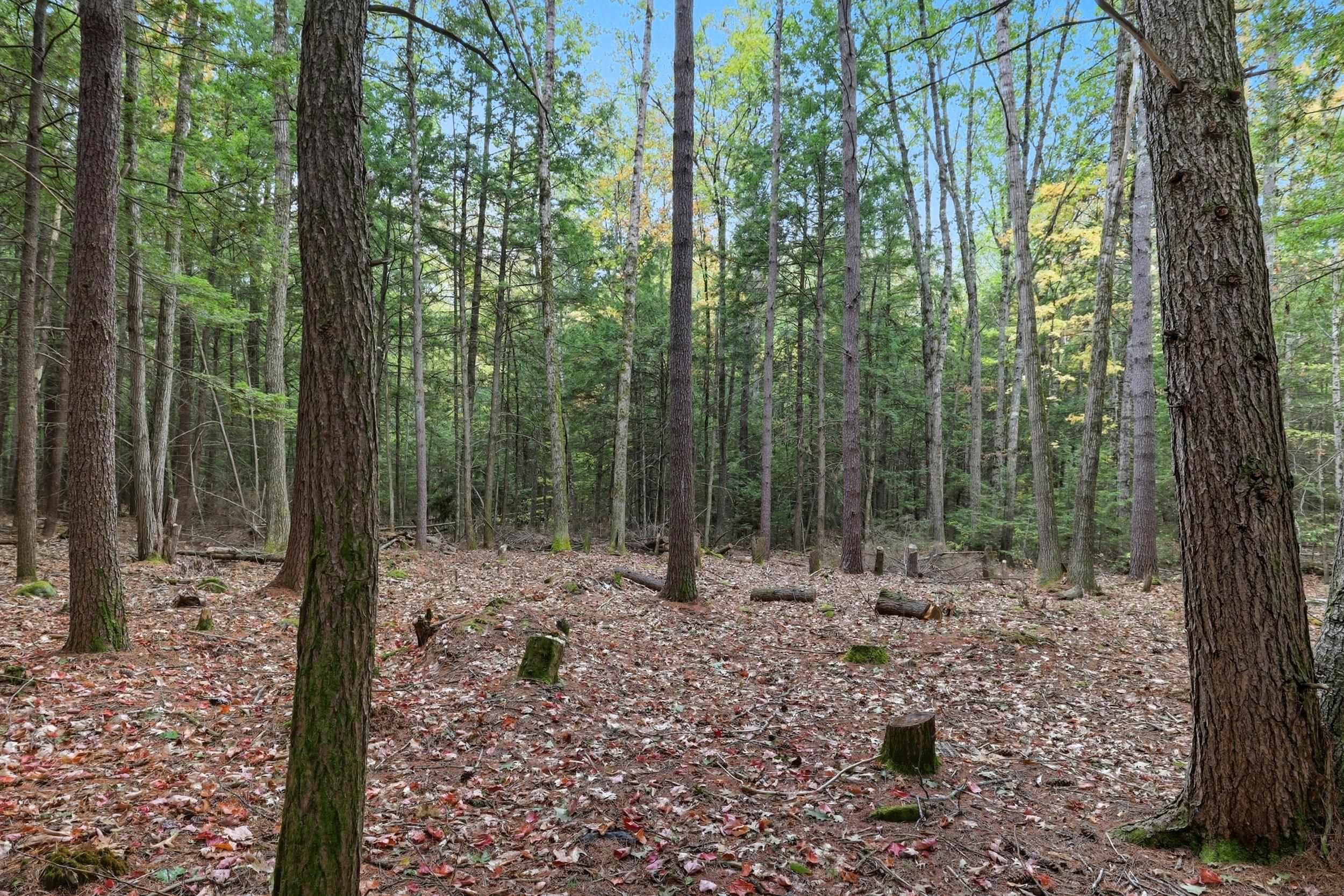 Gulf Road Sanbornton, NH 03269 - Photo 24 of 37