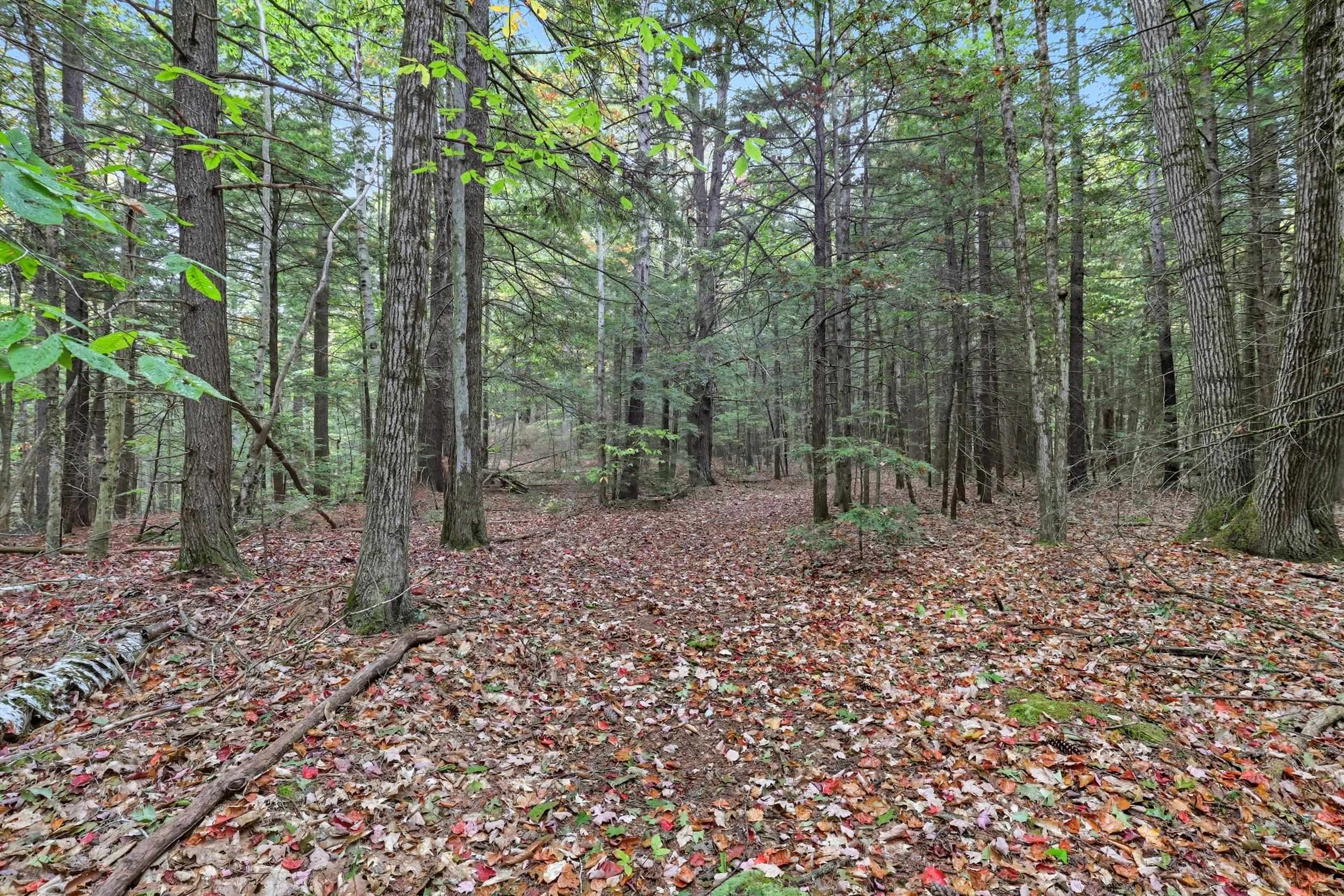 Gulf Road Sanbornton, NH 03269 - Photo 26 of 37