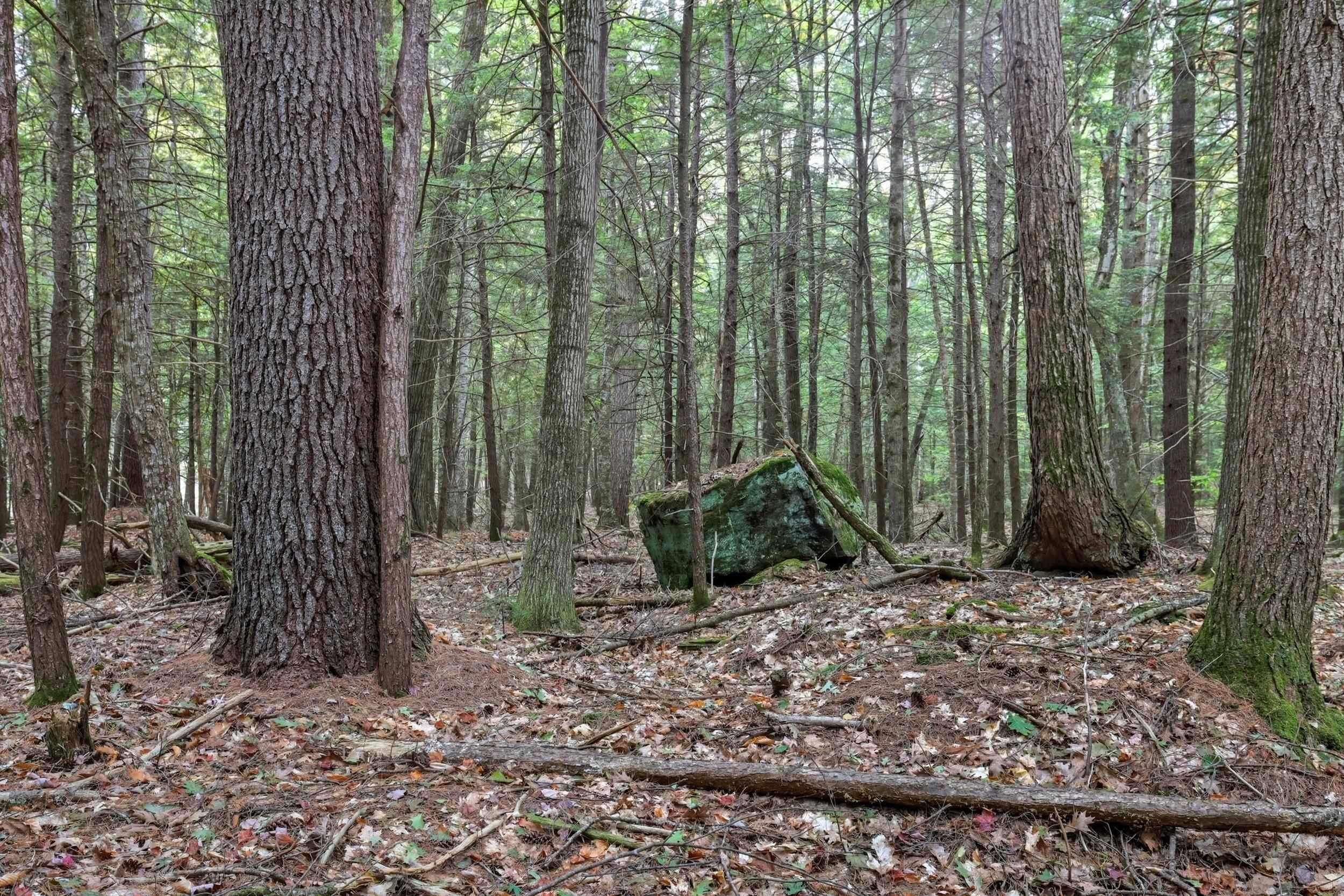 Gulf Road Sanbornton, NH 03269 - Photo 28 of 37