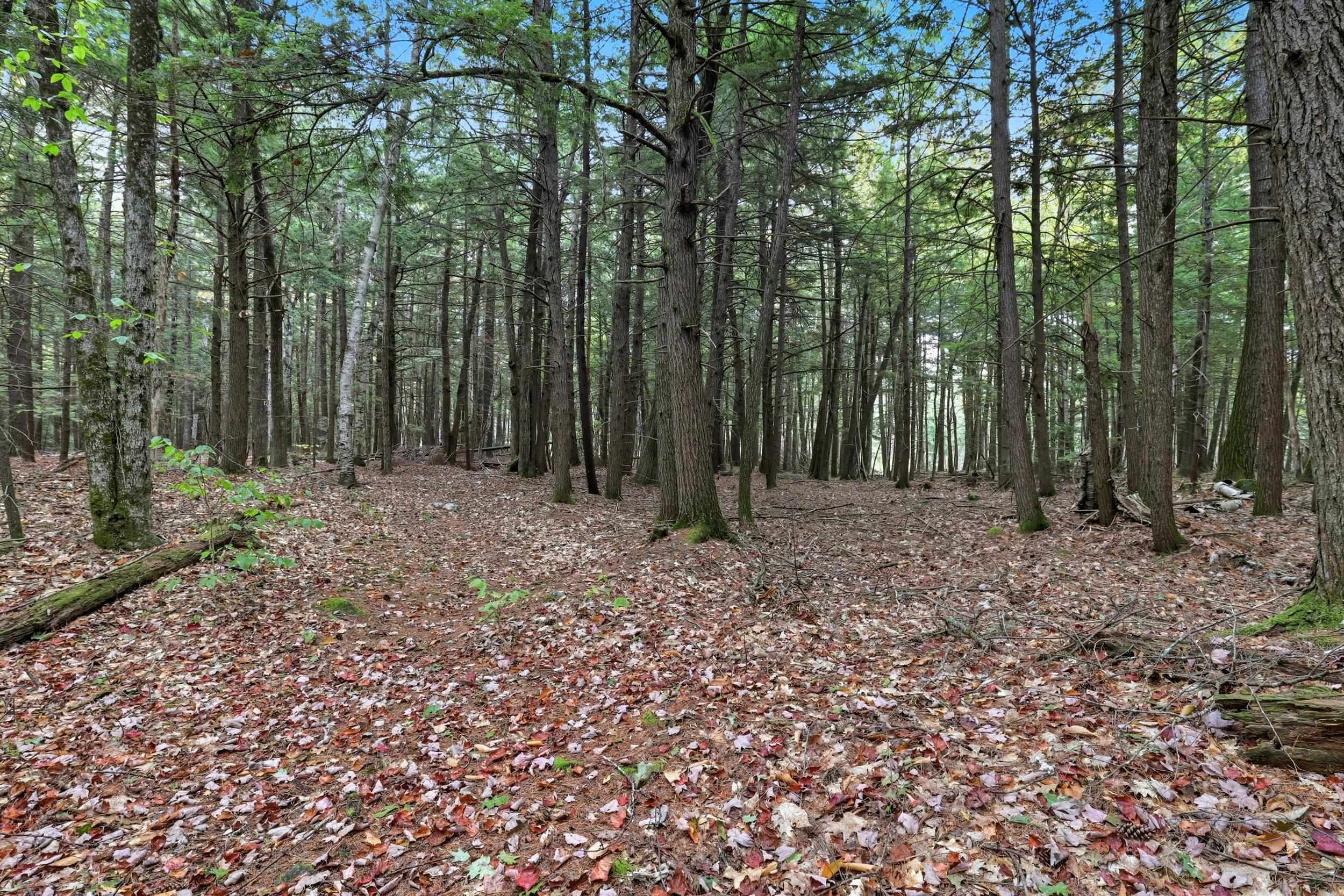 Gulf Road Sanbornton, NH 03269 - Photo 29 of 37