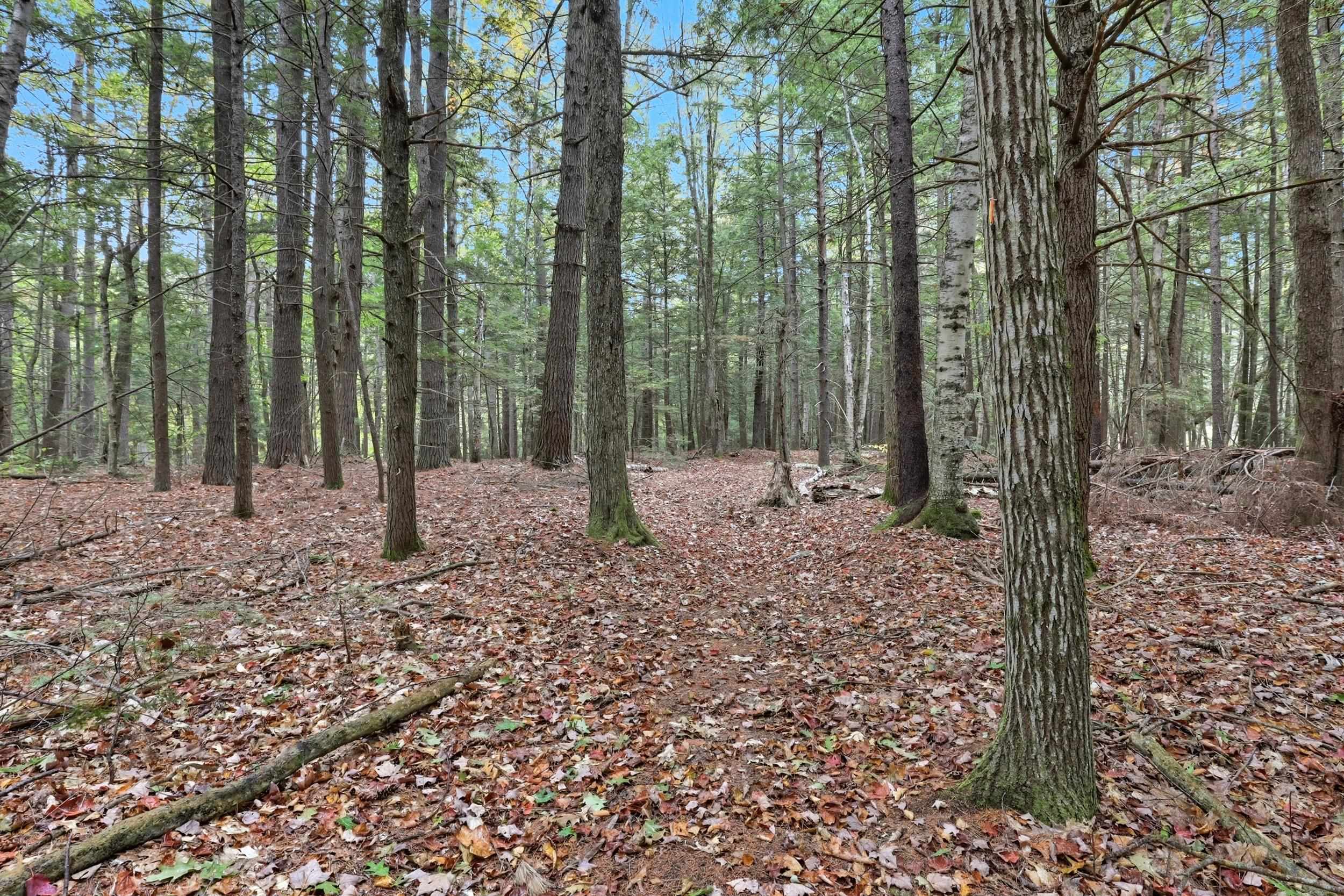 Gulf Road Sanbornton, NH 03269 - Photo 30 of 37