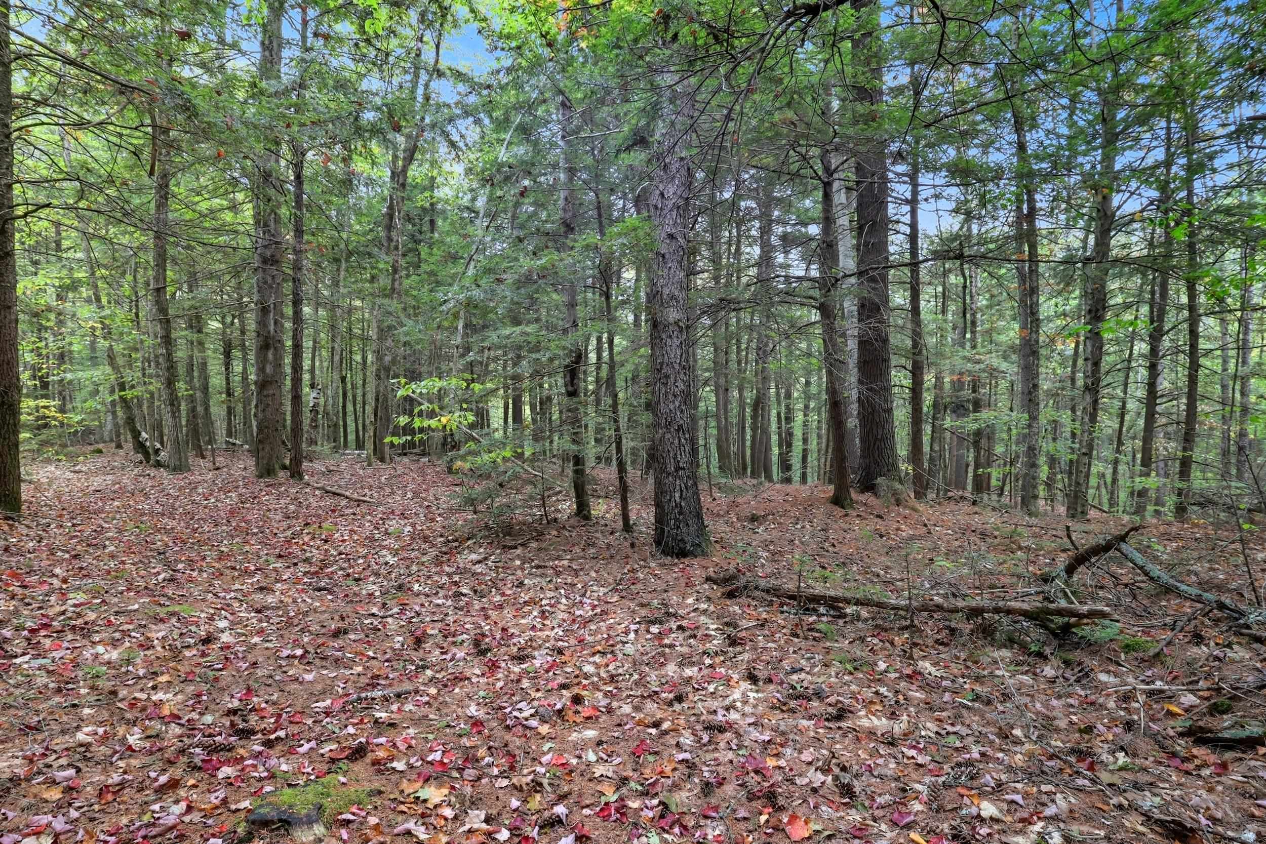 Gulf Road Sanbornton, NH 03269 - Photo 32 of 37