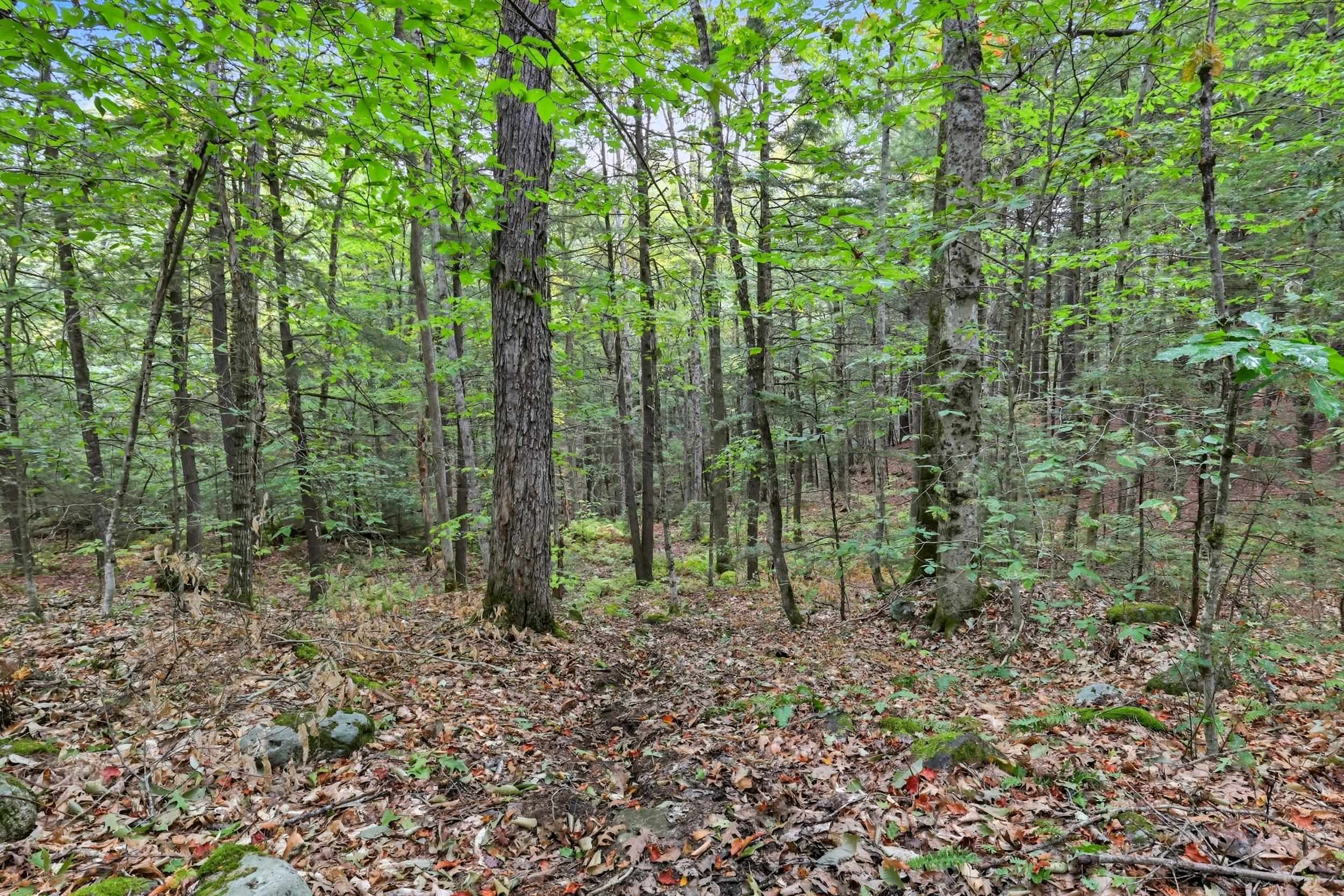 Gulf Road Sanbornton, NH 03269 - Photo 34 of 37