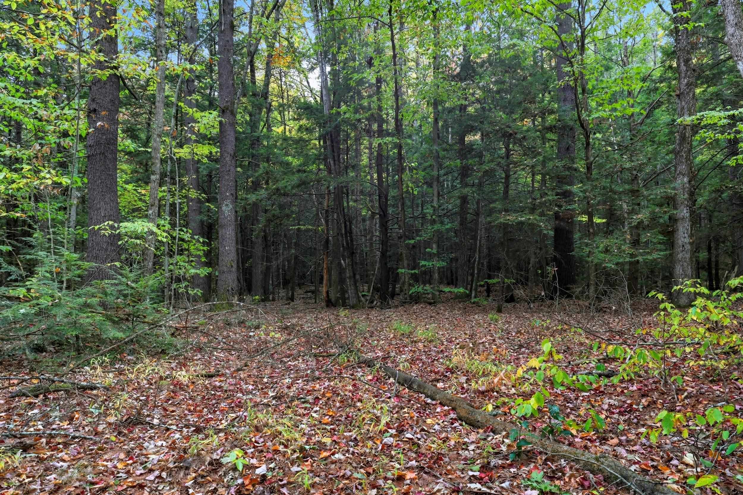 Gulf Road Sanbornton, NH 03269 - Photo 4 of 37