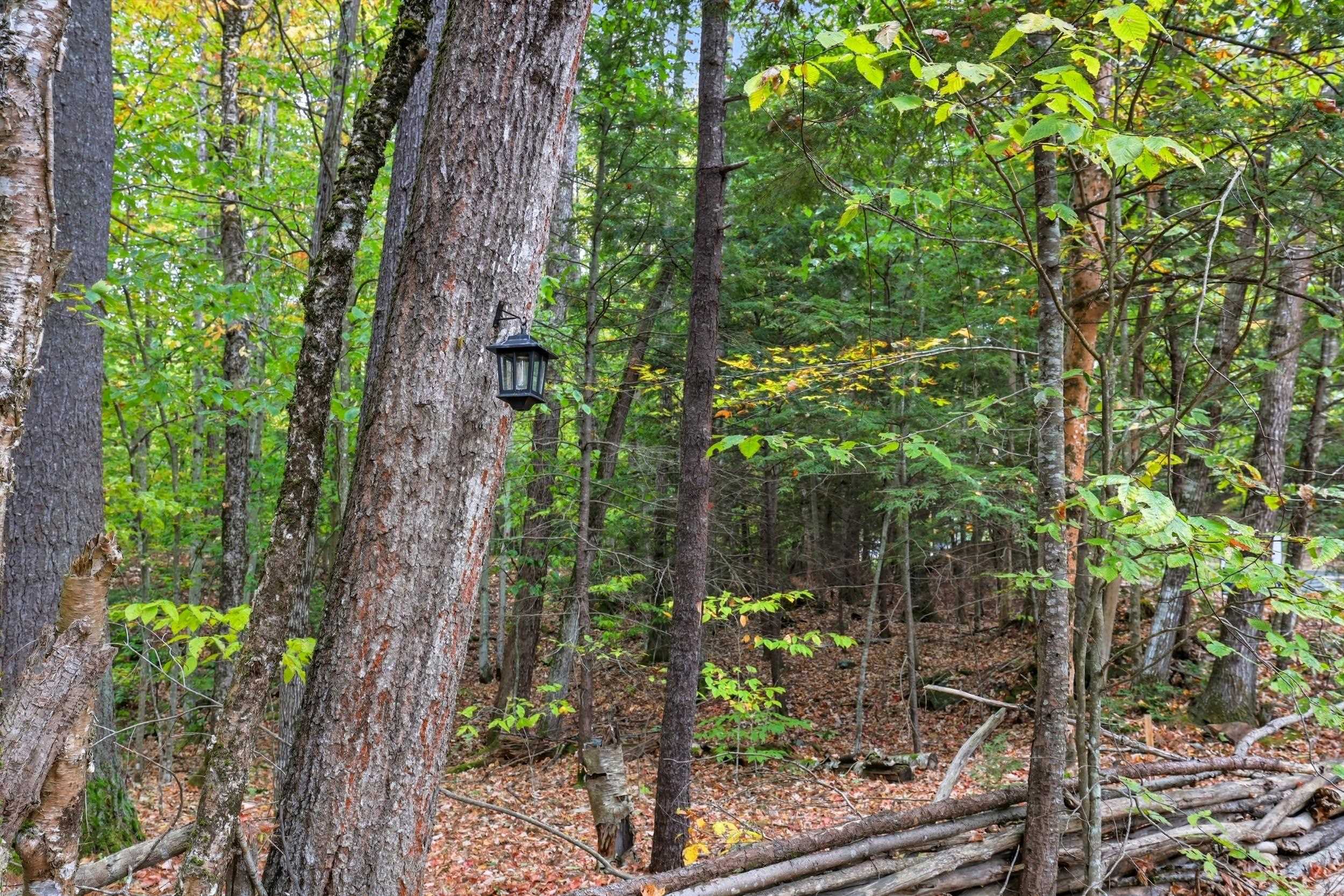 Gulf Road Sanbornton, NH 03269 - Photo 5 of 37