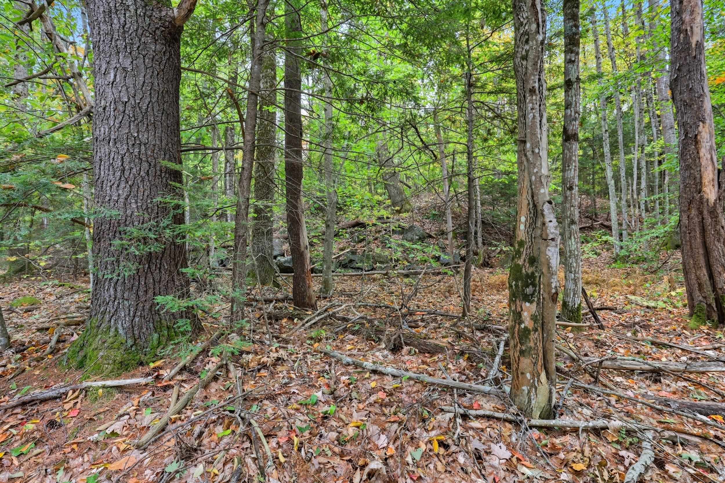 Gulf Road Sanbornton, NH 03269 - Photo 8 of 37