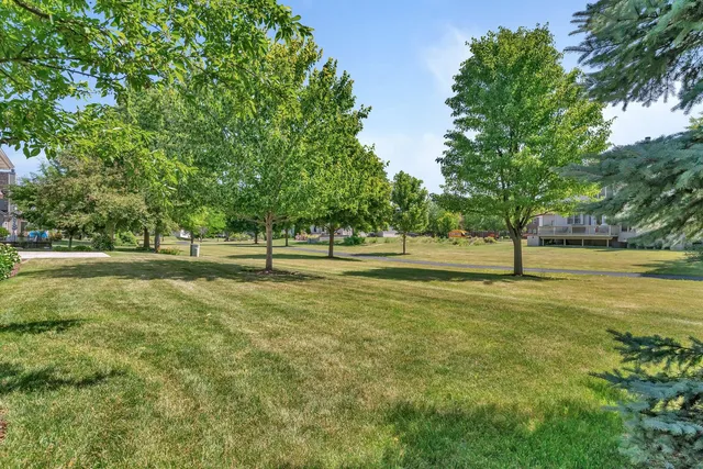a view of a park with trees and grass